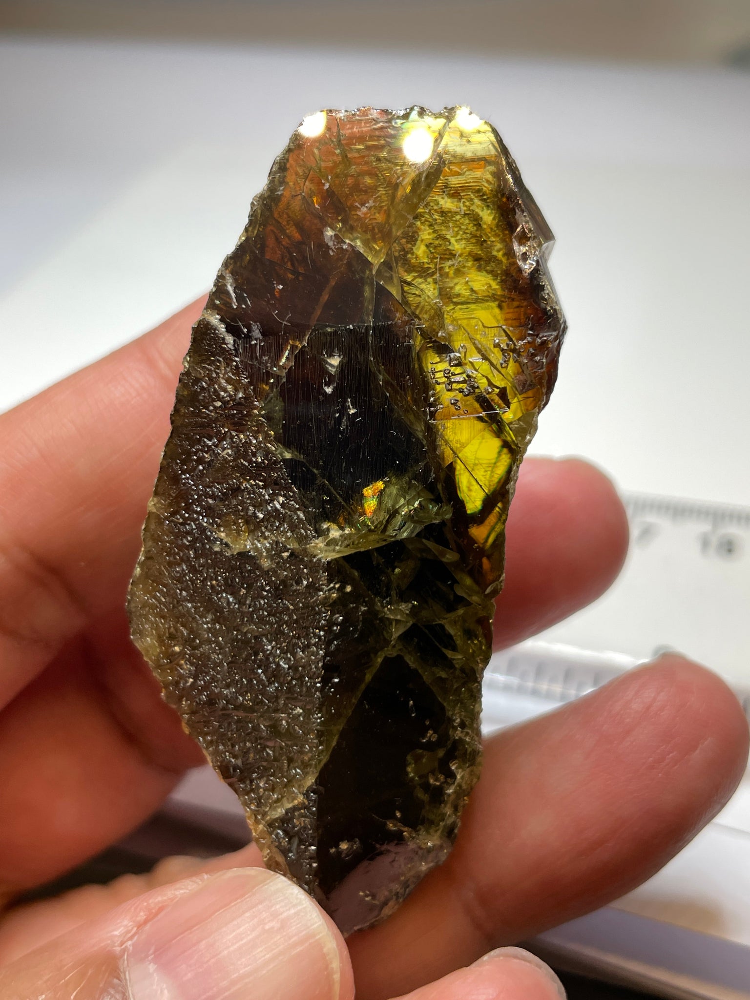 298.50Ct / 59.70Gm Tanzanian Sphene Crystal Untreated Unheated. 65.6 X 31.6 24.9Mm Very High End