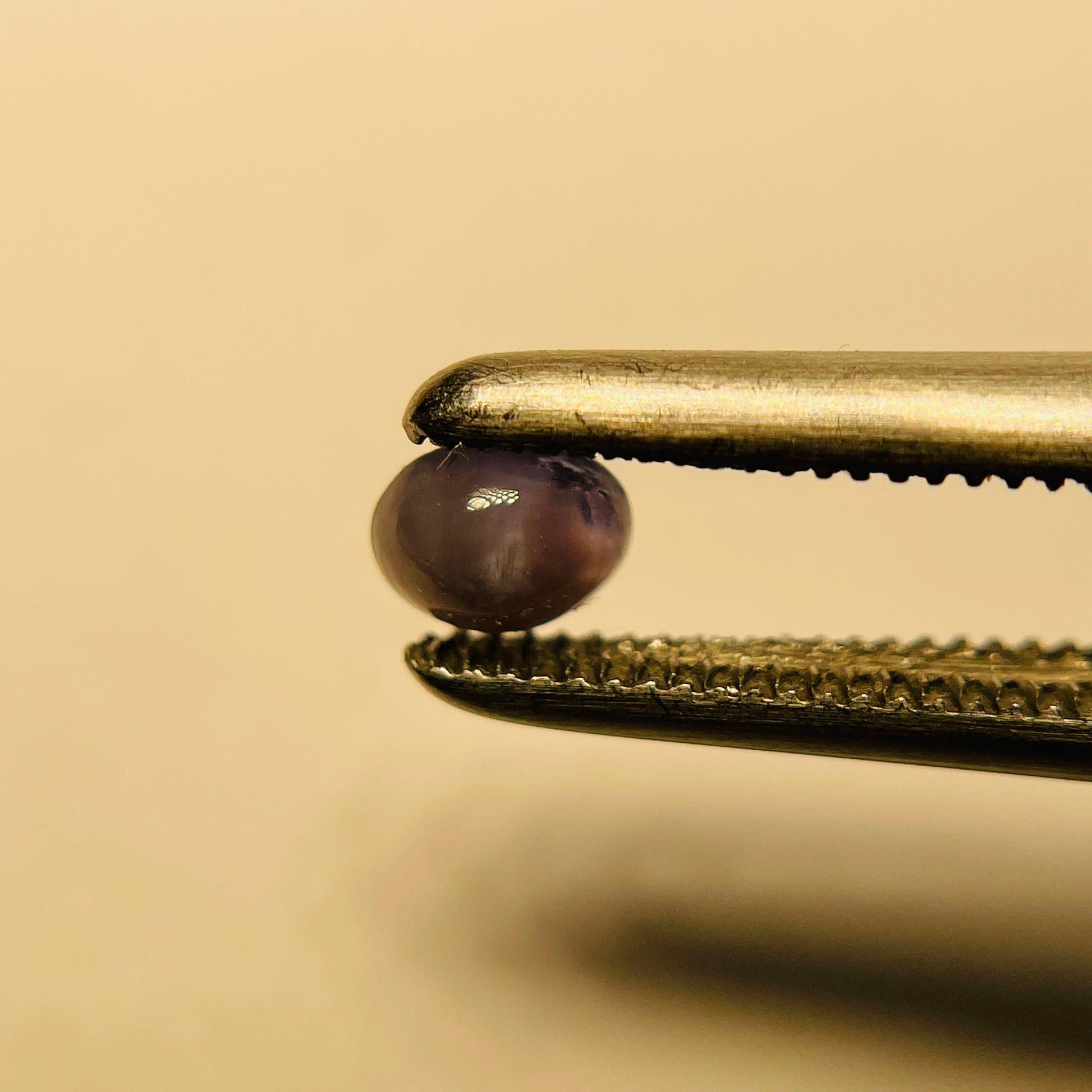 0.26Ct Cats-Eye Alexandrite Lake Manyara Tanzania. Untreated Unheated