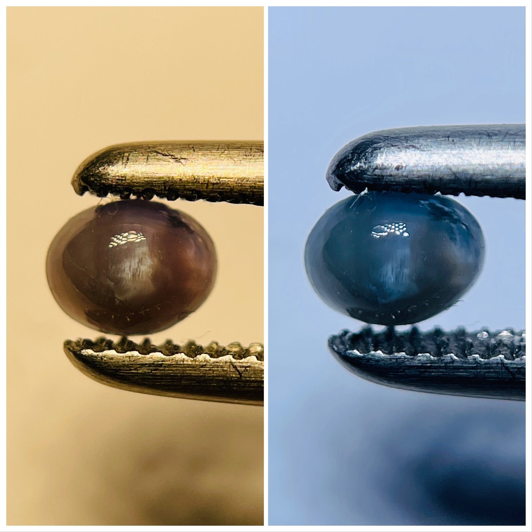 0.26Ct Cats-Eye Alexandrite Lake Manyara Tanzania. Untreated Unheated