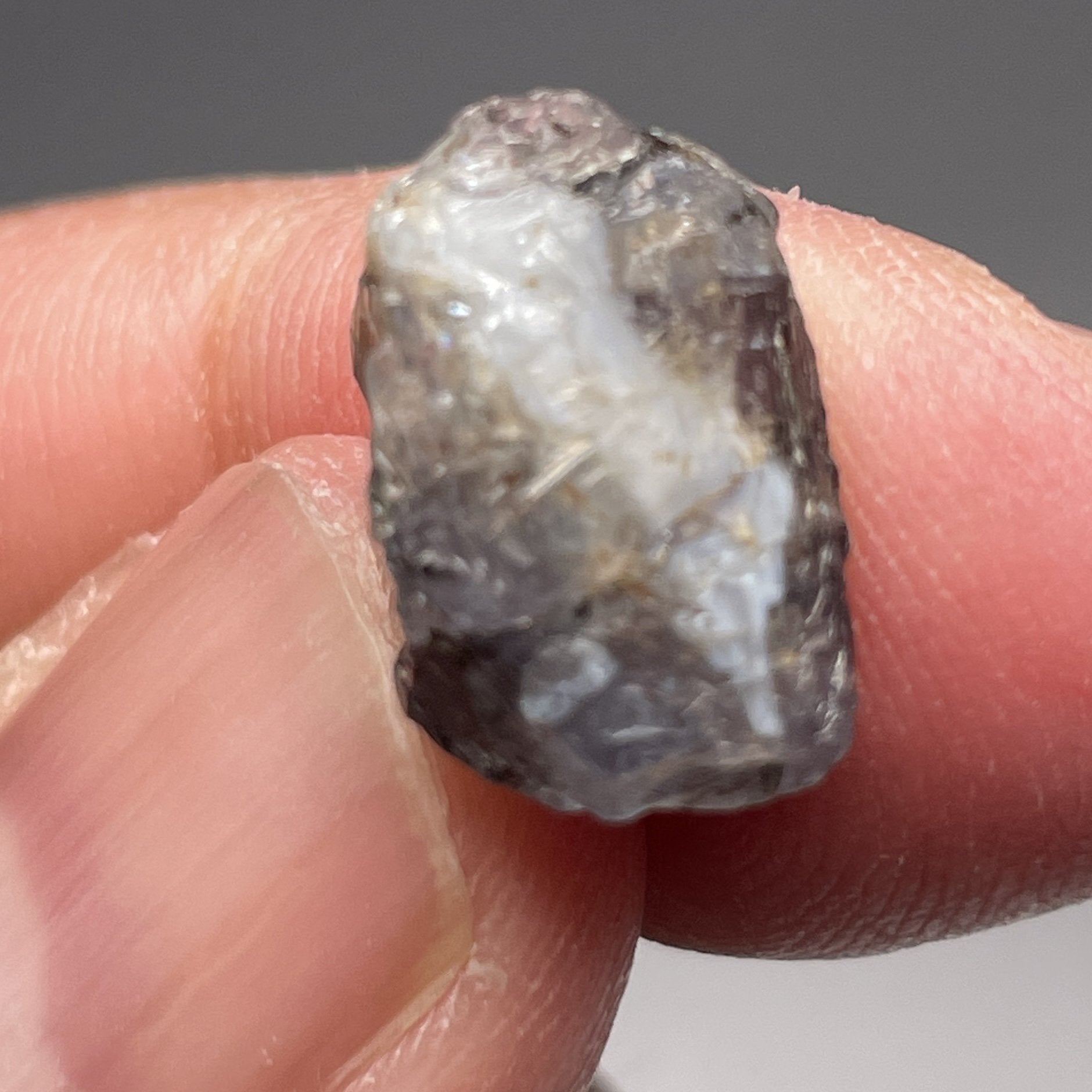 12.38Ct Alexandrite Crystal Manyara Tanzania Untreated Unheated 14 X 9 9.3 Mm