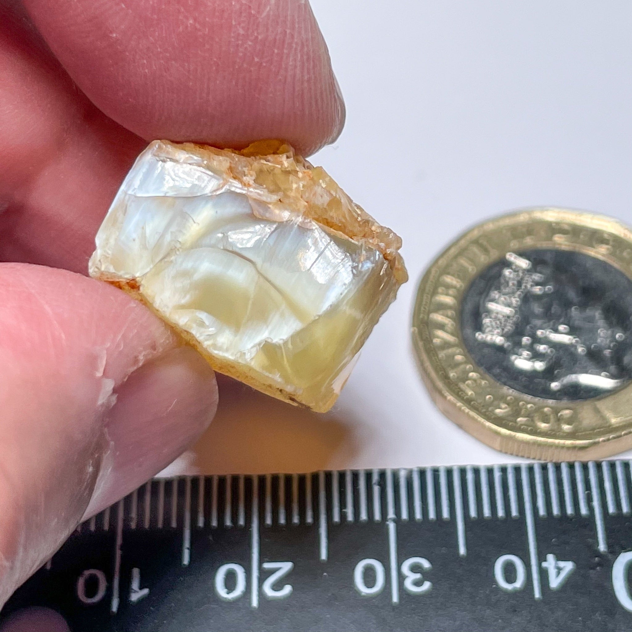 24.44Ct Opal Tanzania Untreated Unheated From A 1999 Deposit Chatoyant (White Pearly Cats-Eye