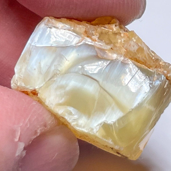 24.44Ct Opal Tanzania Untreated Unheated From A 1999 Deposit Chatoyant (White Pearly Cats-Eye