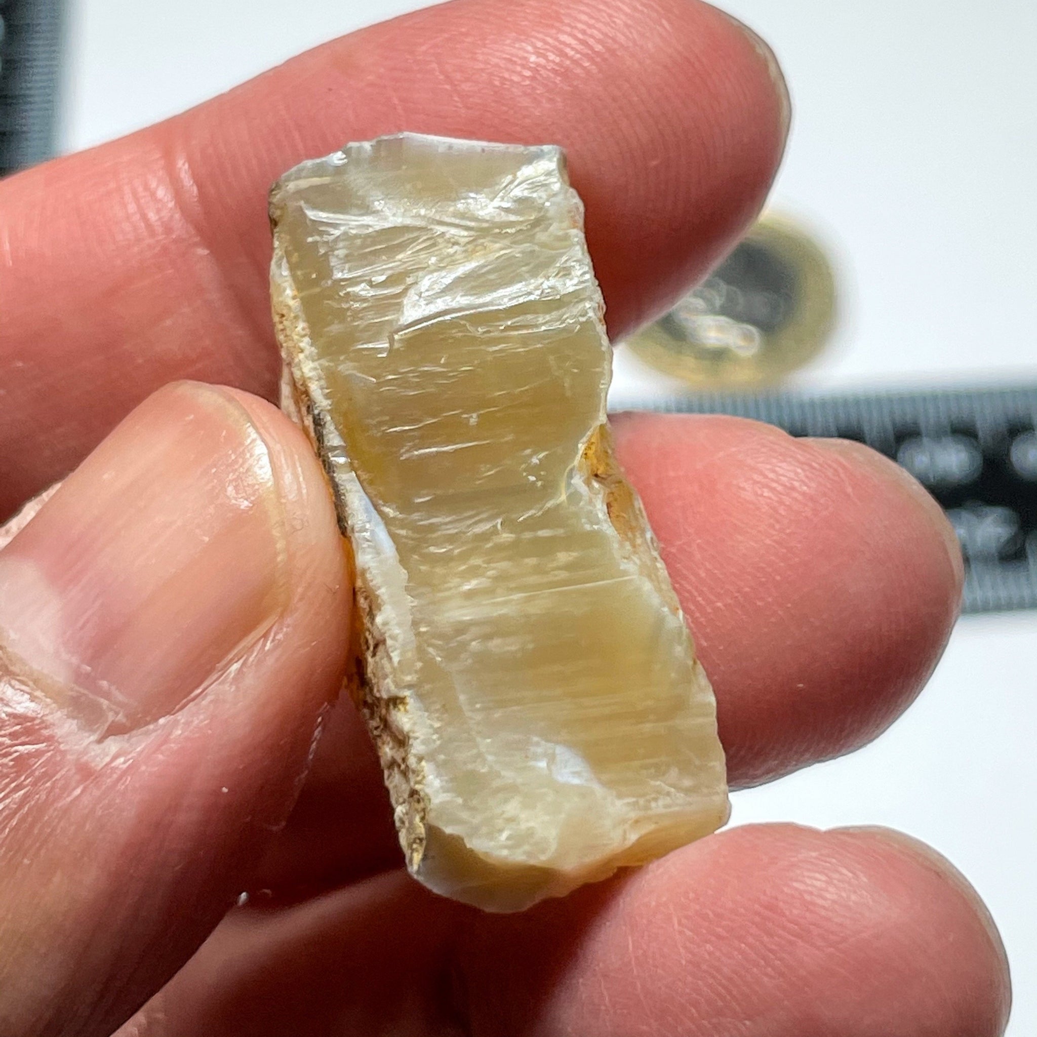 42.51Ct Opal Tanzania Untreated Unheated From A 1999 Deposit Chatoyant (White Pearly Cats-Eye