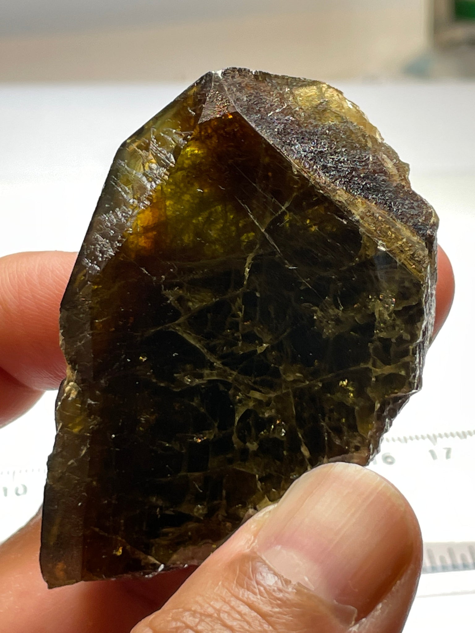371.5Ct / 74.30Gm Tanzanian Sphene Crystal Untreated Unheated. 64.8 X 41.0 18.1Mm Very High End
