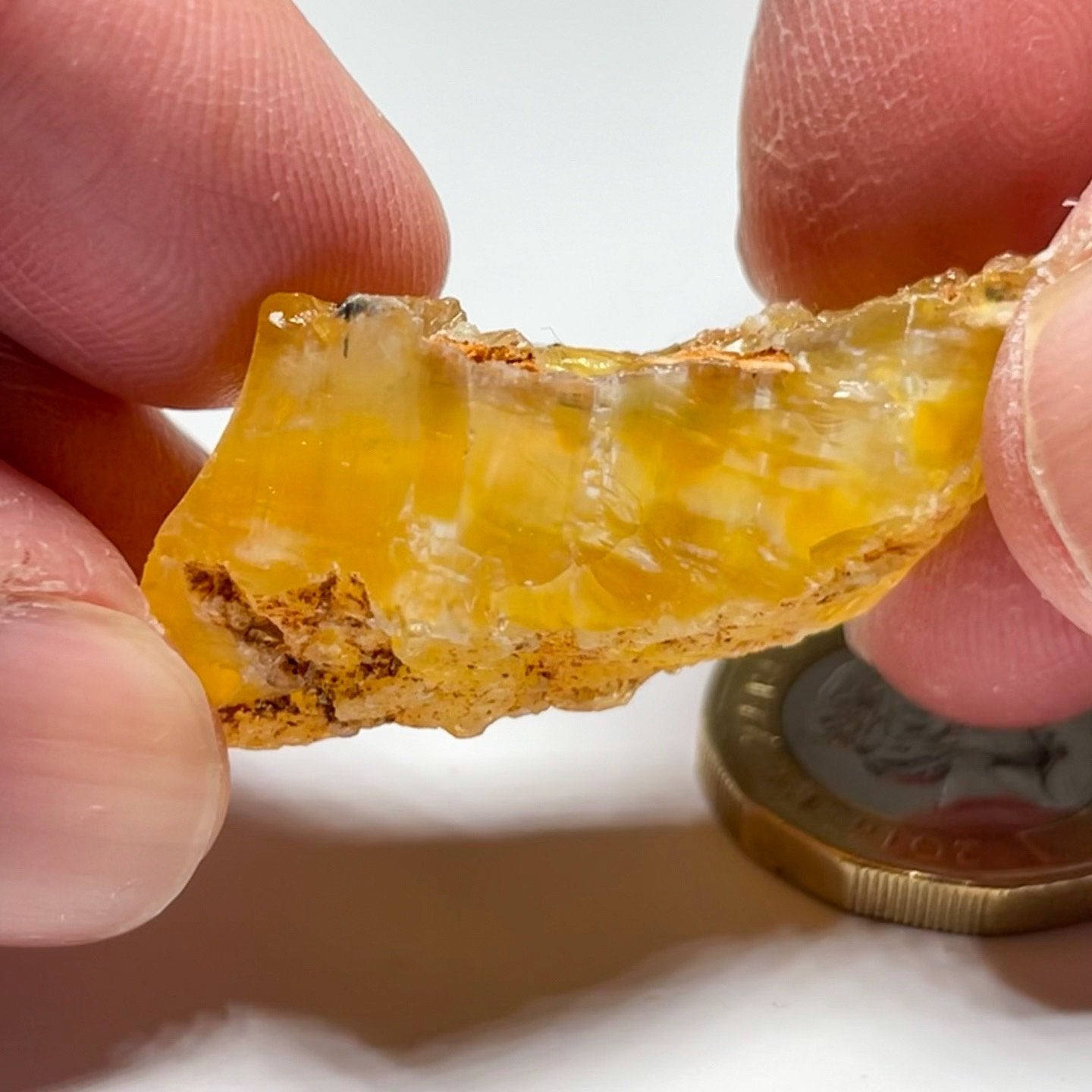 48.43Ct Opal Tanzania Untreated Unheated From A 1999 Deposit Chatoyant (Pearly Cats-Eye Effect)