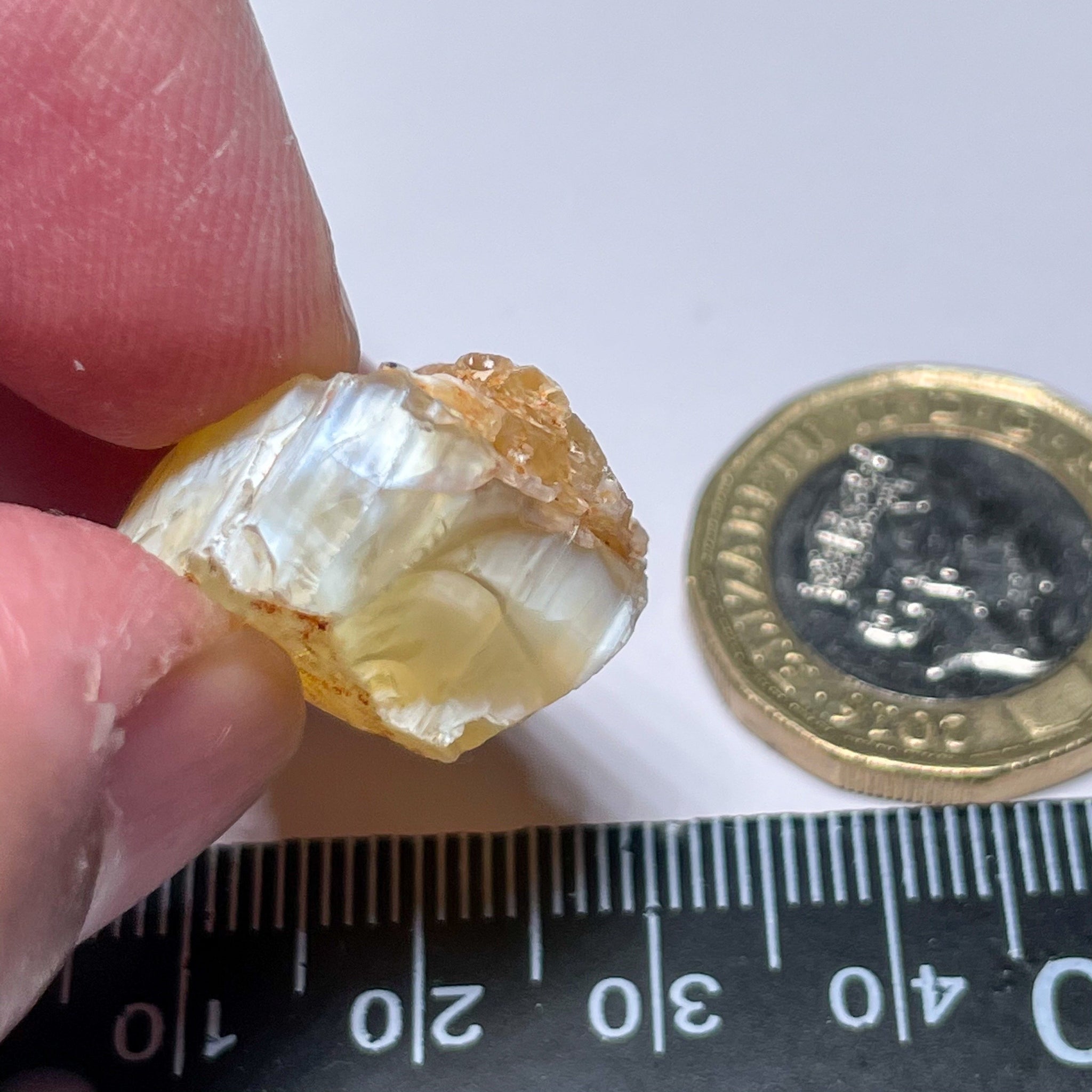 24.44Ct Opal Tanzania Untreated Unheated From A 1999 Deposit Chatoyant (White Pearly Cats-Eye