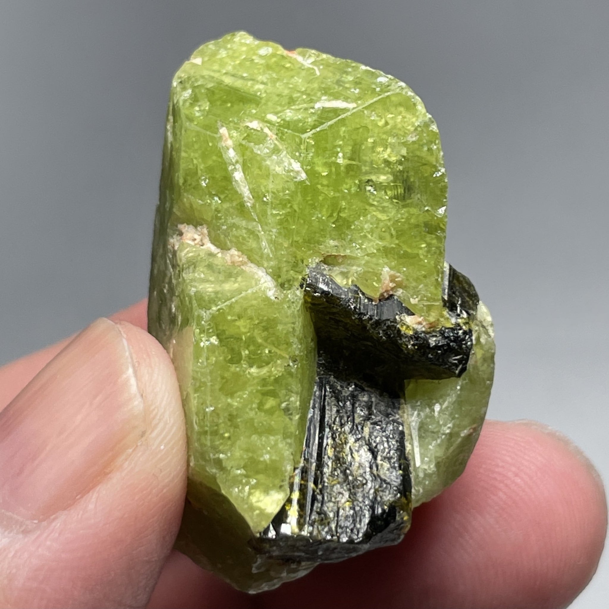 31.00Gm / 155.00Ct Tsavorite Merelani Tanzania Untreated Unheated. 38 X 22 20.5 Mm