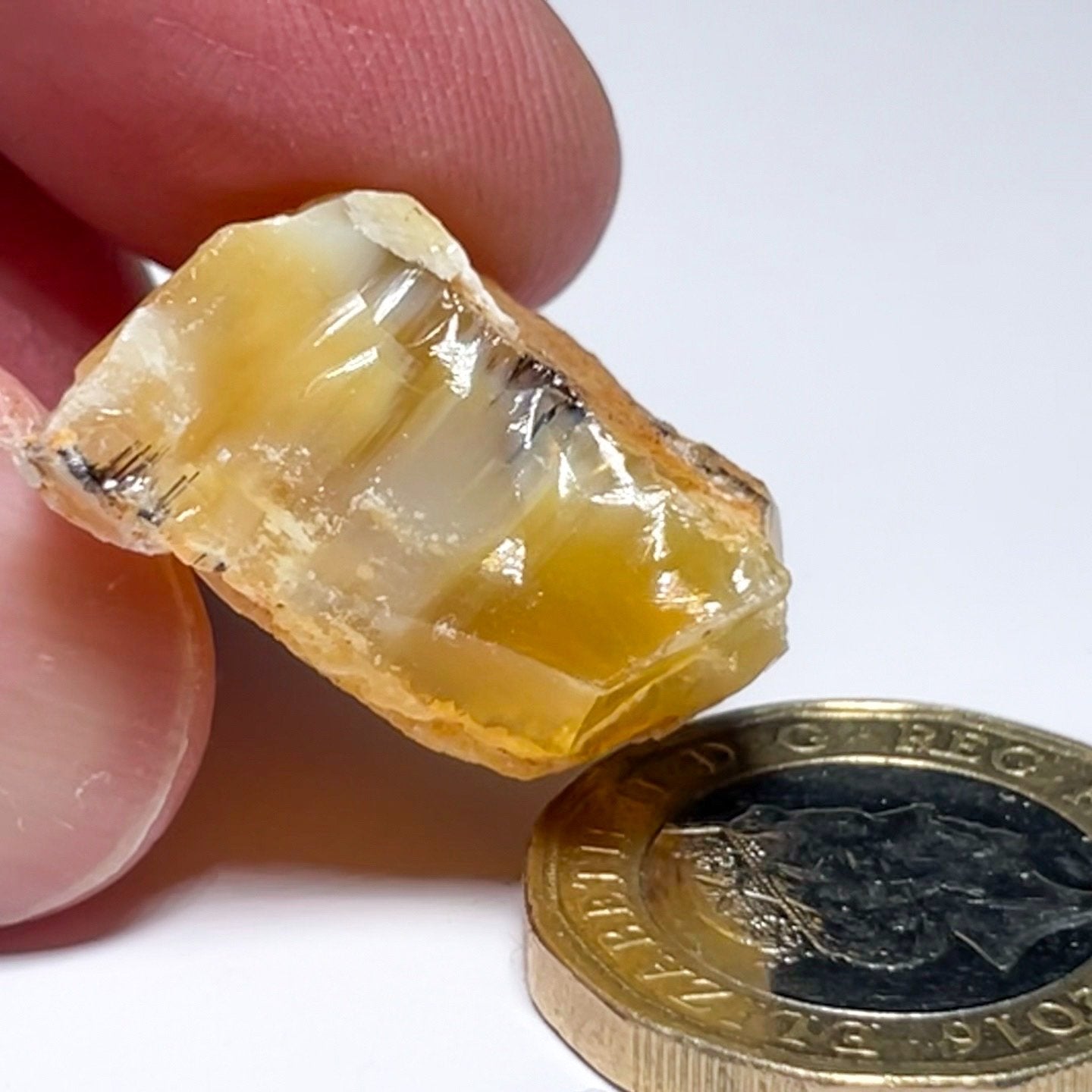 33.60Ct Opal Tanzania Untreated Unheated From A 1999 Deposit Chatoyant (Pearly Cats-Eye Effect)