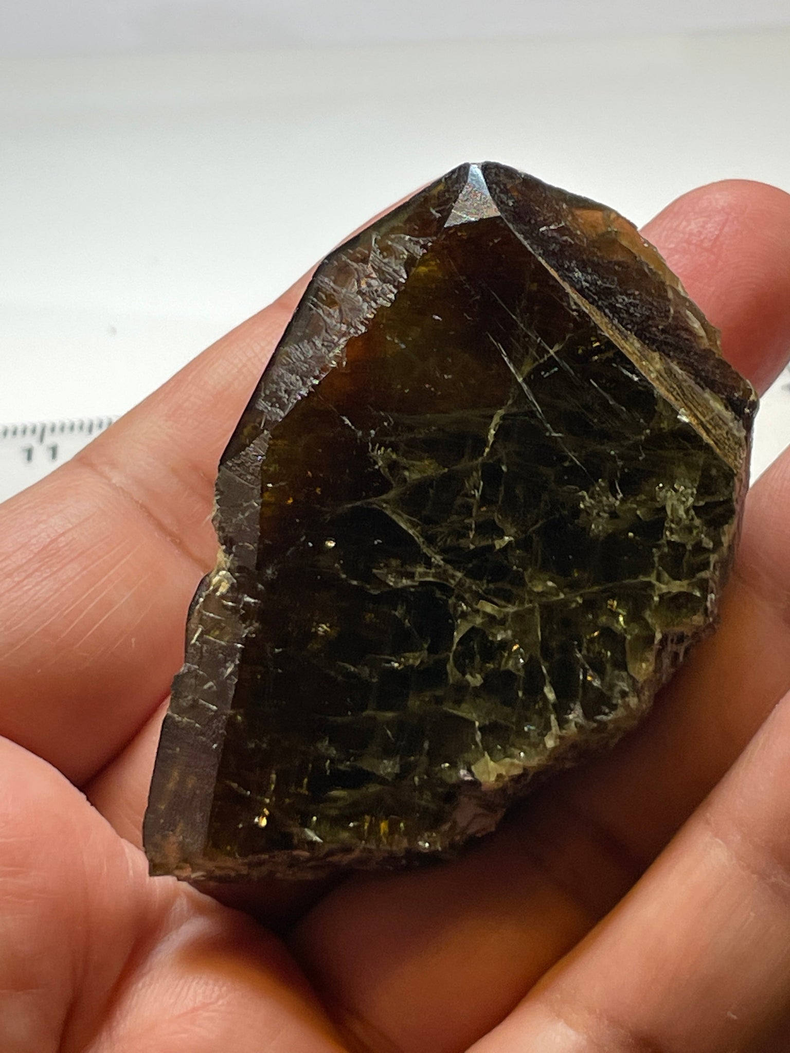 371.5Ct / 74.30Gm Tanzanian Sphene Crystal Untreated Unheated. 64.8 X 41.0 18.1Mm Very High End