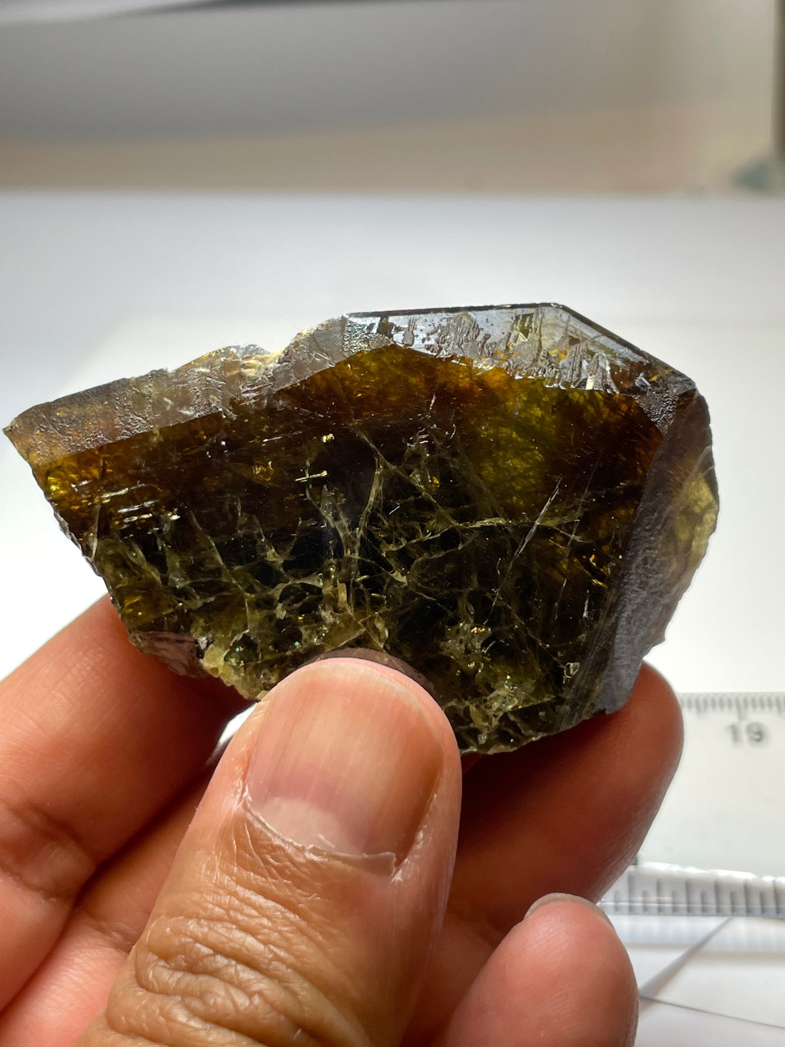 371.5Ct / 74.30Gm Tanzanian Sphene Crystal Untreated Unheated. 64.8 X 41.0 18.1Mm Very High End