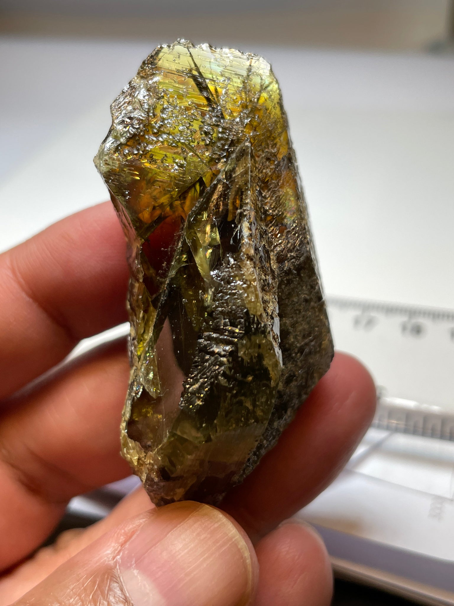 298.50Ct / 59.70Gm Tanzanian Sphene Crystal Untreated Unheated. 65.6 X 31.6 24.9Mm Very High End