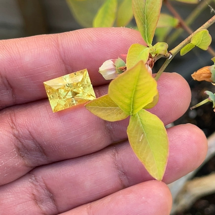 8.035Ct Vivid Intense Yellow Golden Danburite Tanzania Untreated Unheated. Slightly Included. Super