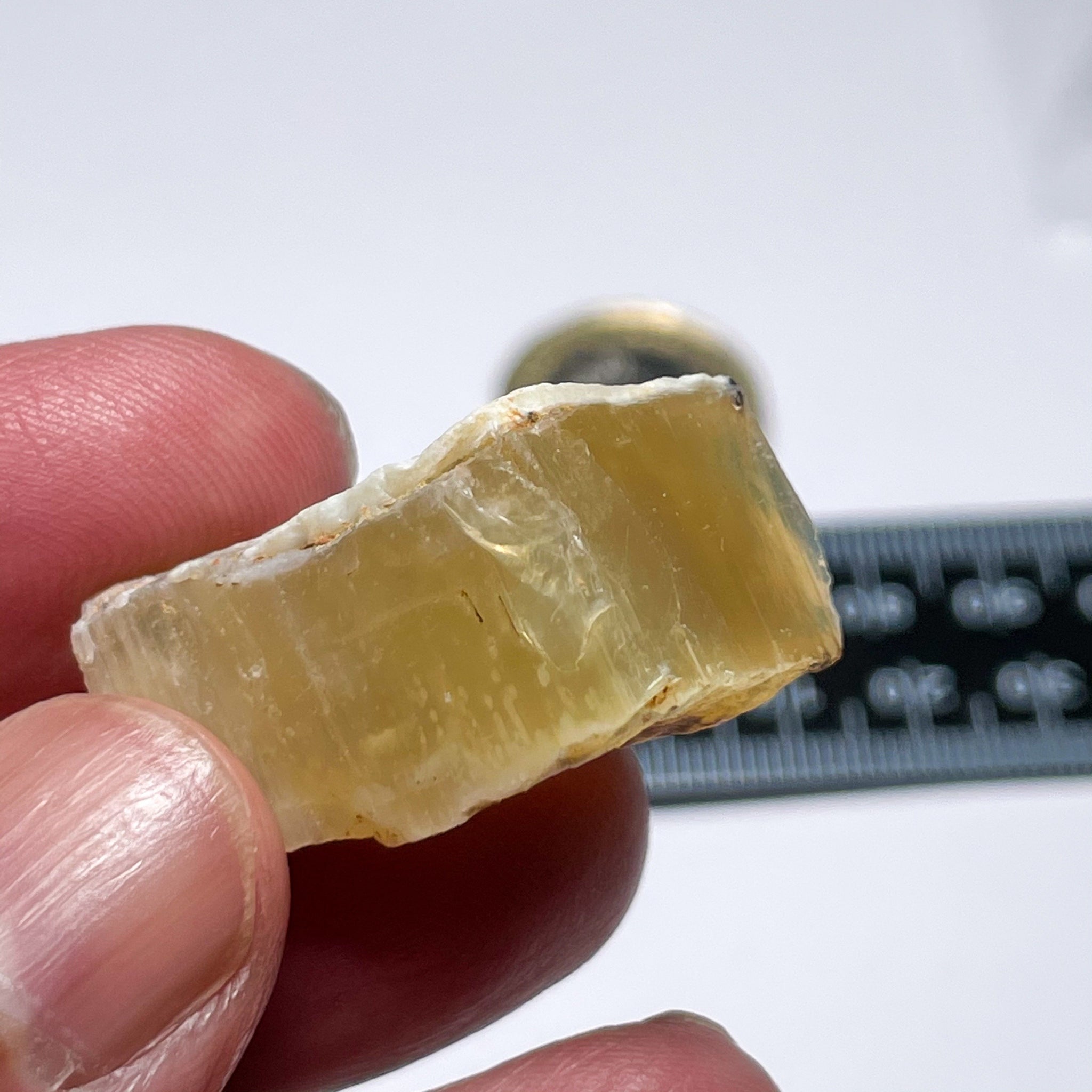 42.51Ct Opal Tanzania Untreated Unheated From A 1999 Deposit Chatoyant (White Pearly Cats-Eye