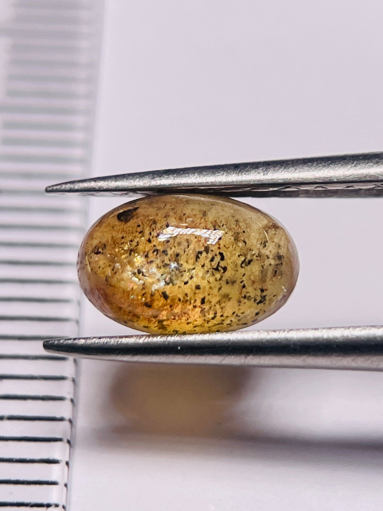 1.66Ct Sapphire Cabochon Umba Valley Tanzania. Untreated Unheated