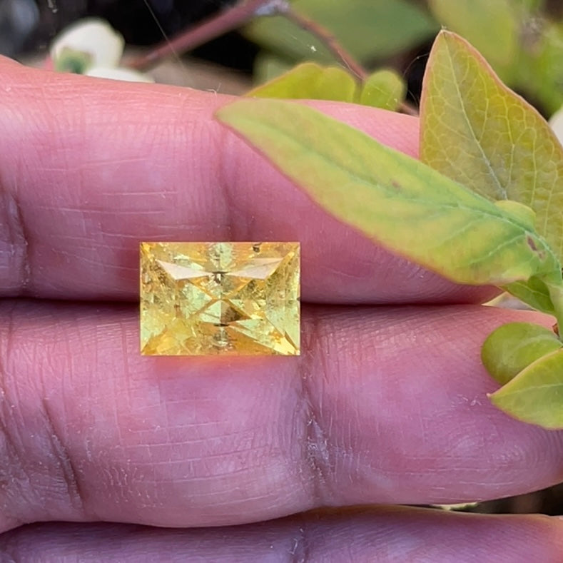 8.035Ct Vivid Intense Yellow Golden Danburite Tanzania Untreated Unheated. Slightly Included. Super