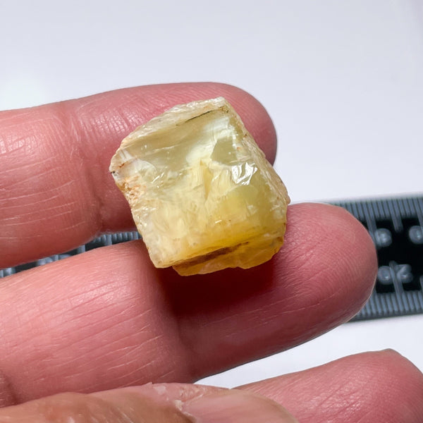 28.93Ct Opal Tanzania Untreated Unheated From A 1999 Deposit Chatoyant (White Pearly Cats-Eye