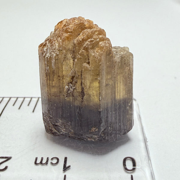 Tourmaline Crystal, 30.67ct, Mwajanga, Tanzania. Untreated Unheated