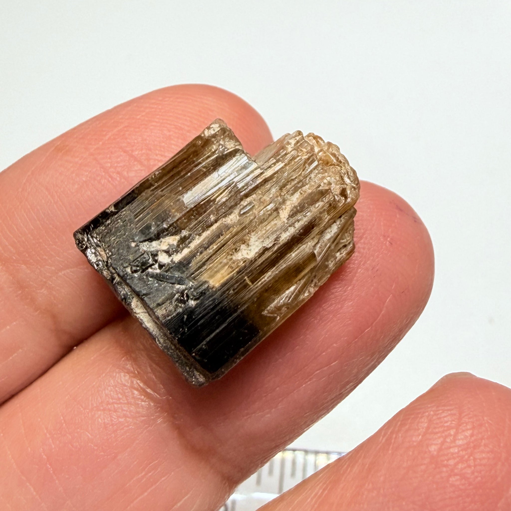 Tourmaline Crystal, 30.67ct, Mwajanga, Tanzania. Untreated Unheated