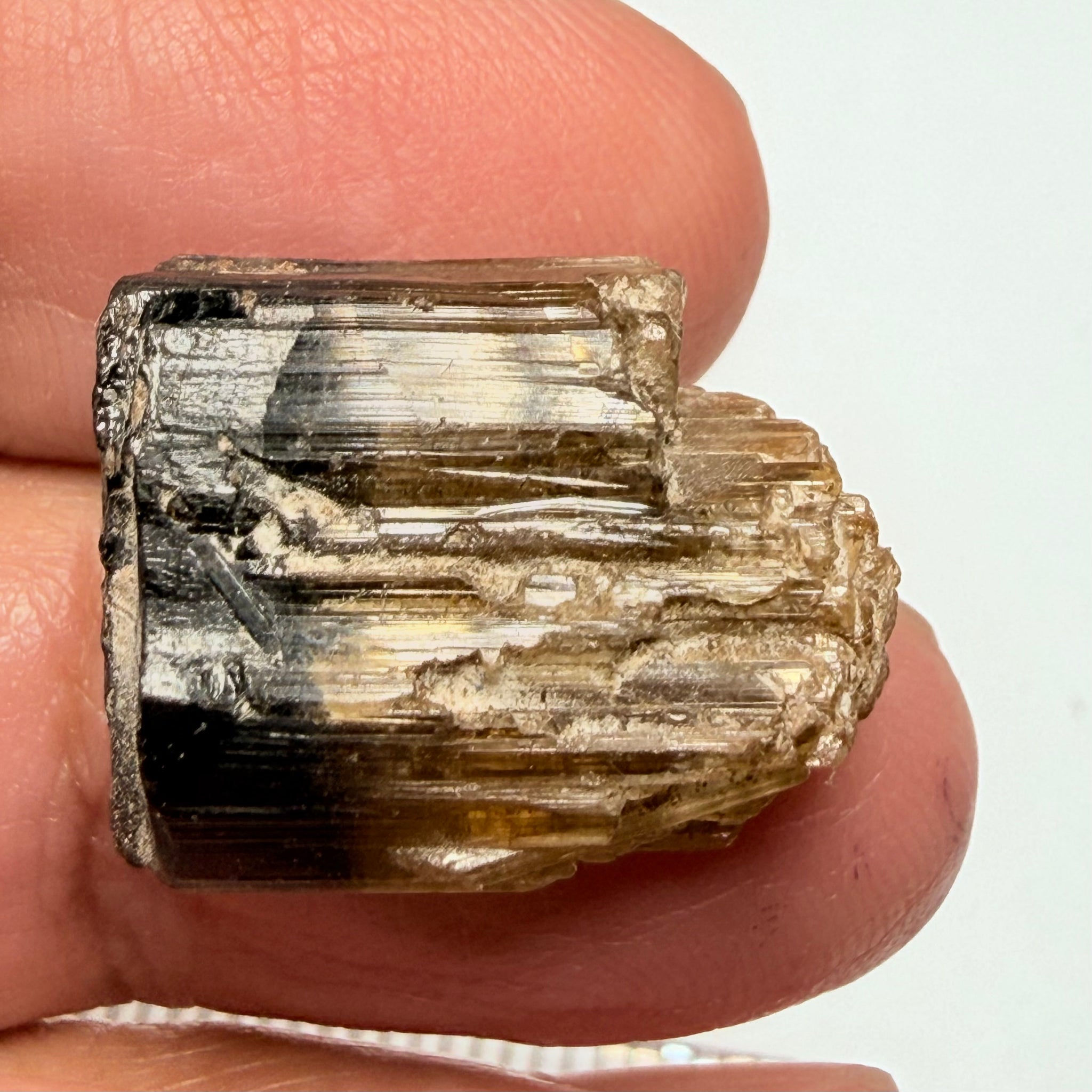 Tourmaline Crystal, 30.67ct, Mwajanga, Tanzania. Untreated Unheated