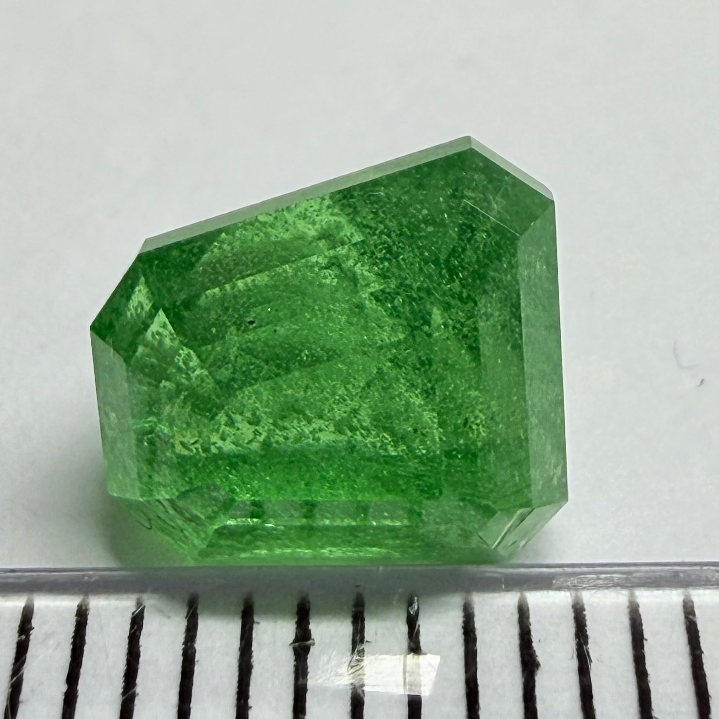 Tsavorite Garnet, Fancy Freeform Cut, 4.39ct, Tanzania, Untreated Unheated, typical sugary type inclusions