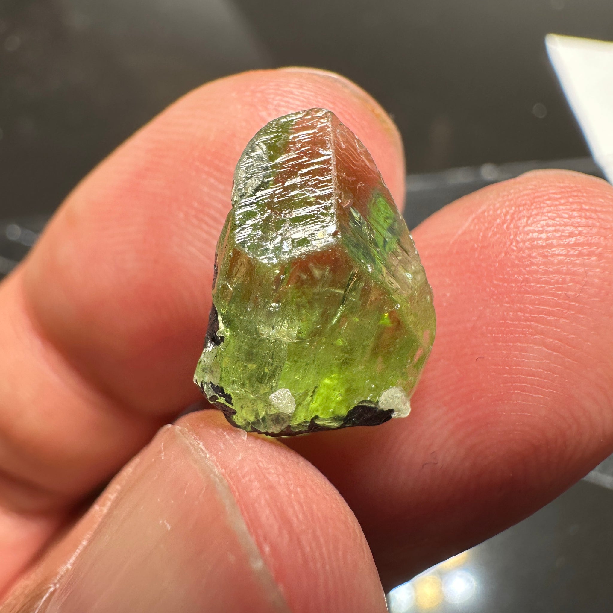 Diopside Crystal, 11.54ct, Merelani, Tanzania, Untreated Unheated