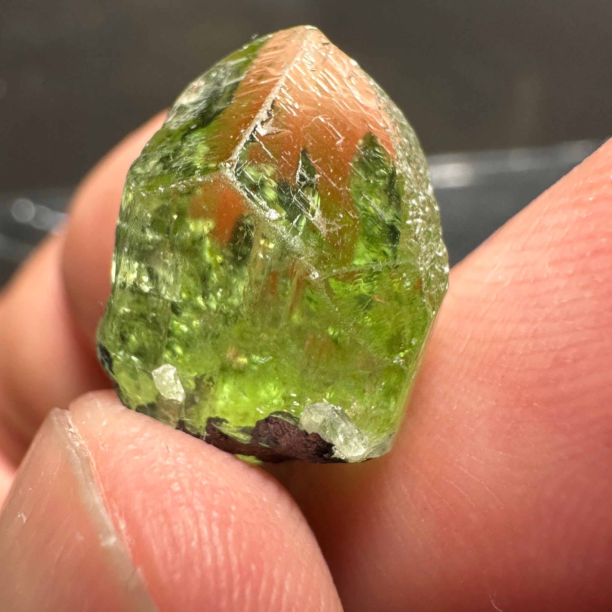 Diopside Crystal, 11.54ct, Merelani, Tanzania, Untreated Unheated