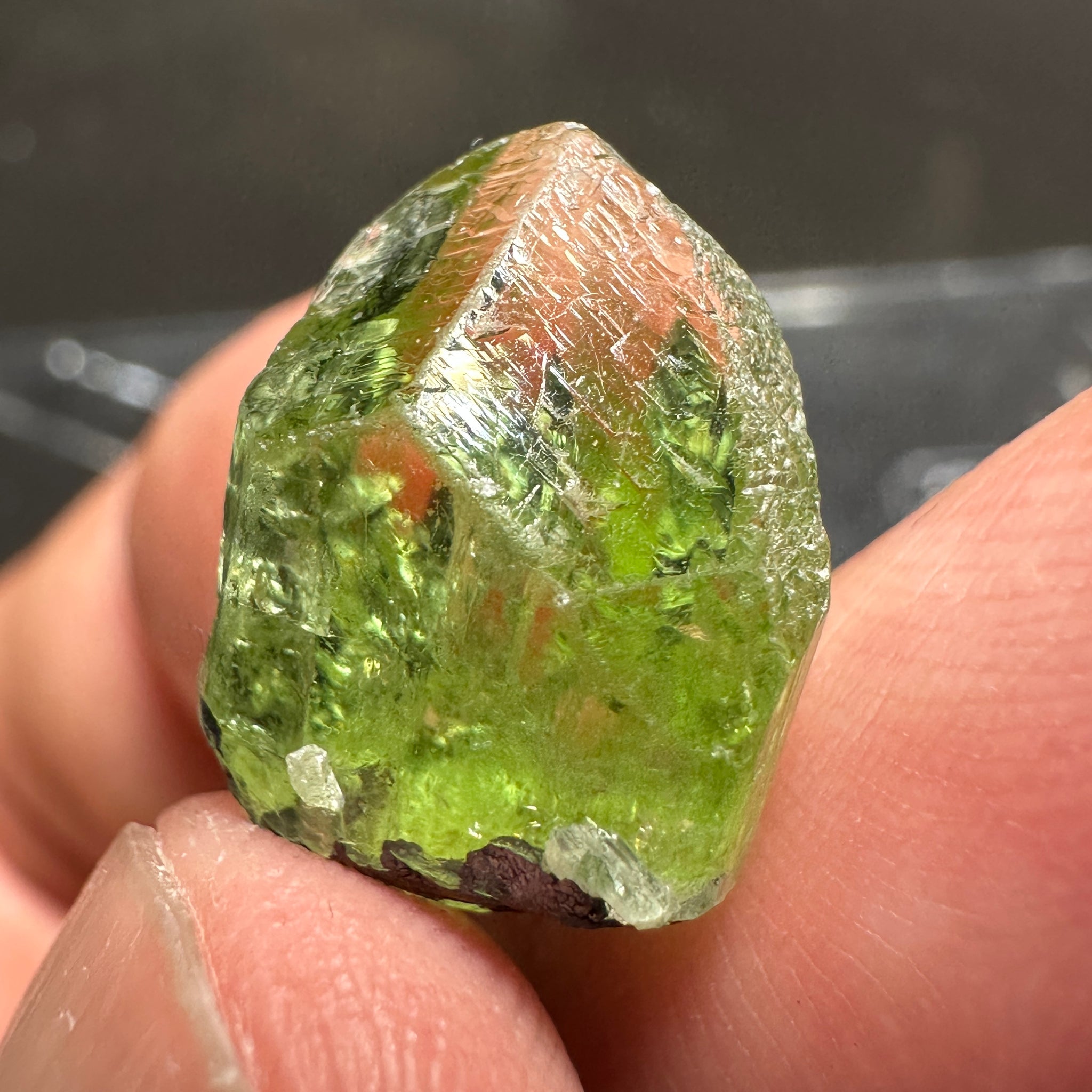Diopside Crystal, 11.54ct, Merelani, Tanzania, Untreated Unheated