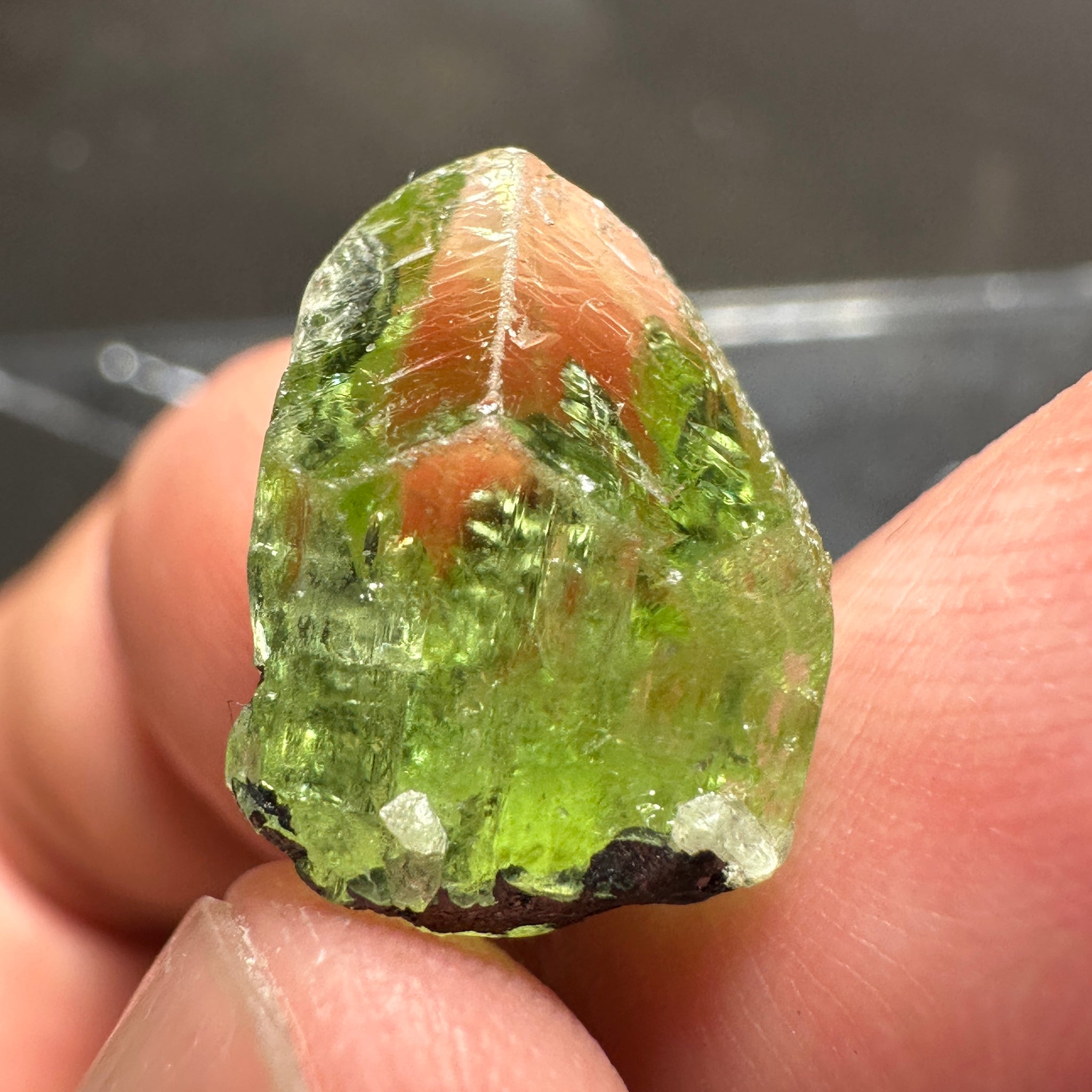 Diopside Crystal, 11.54ct, Merelani, Tanzania, Untreated Unheated