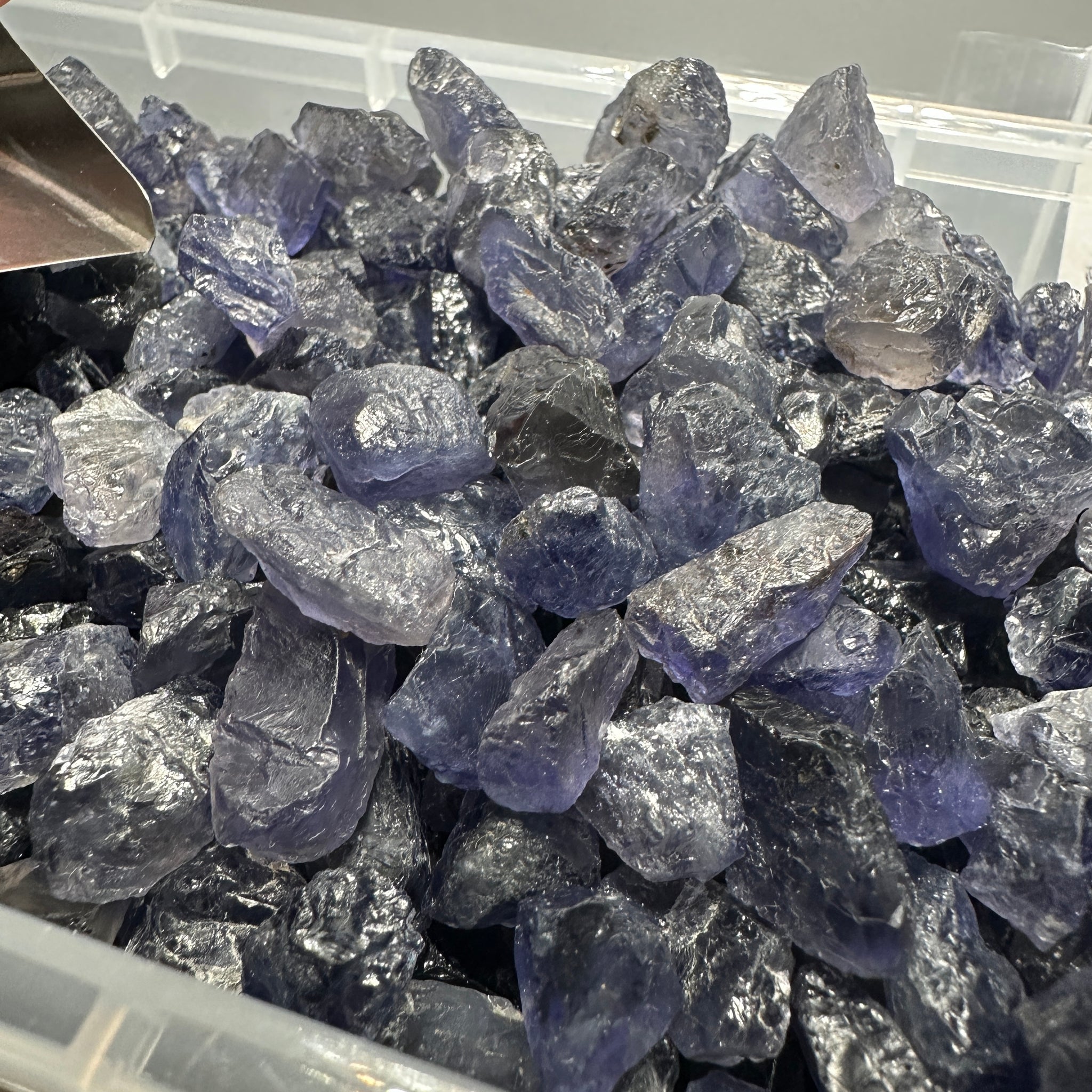 Iolite Lots, 25gm, Cab/Specimen Grade Rough, Blind Pour, sizes from 3-15ct sizes