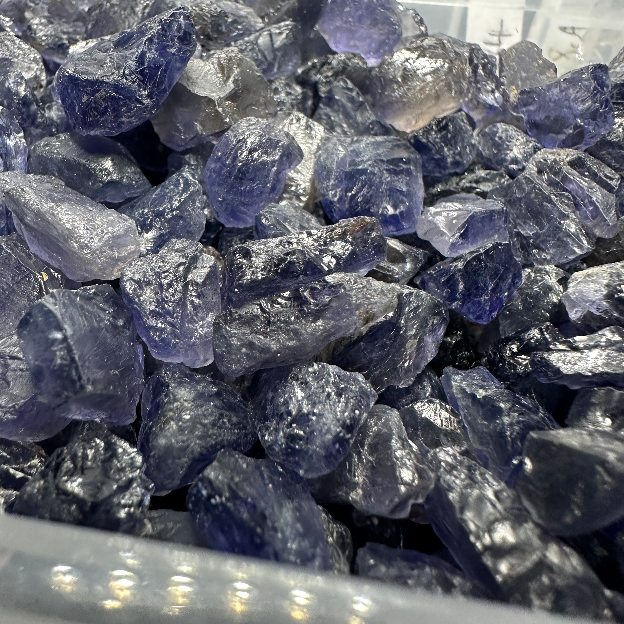 Iolite Lots, 25gm, Cab/Specimen Grade Rough, Blind Pour, sizes from 3-15ct sizes
