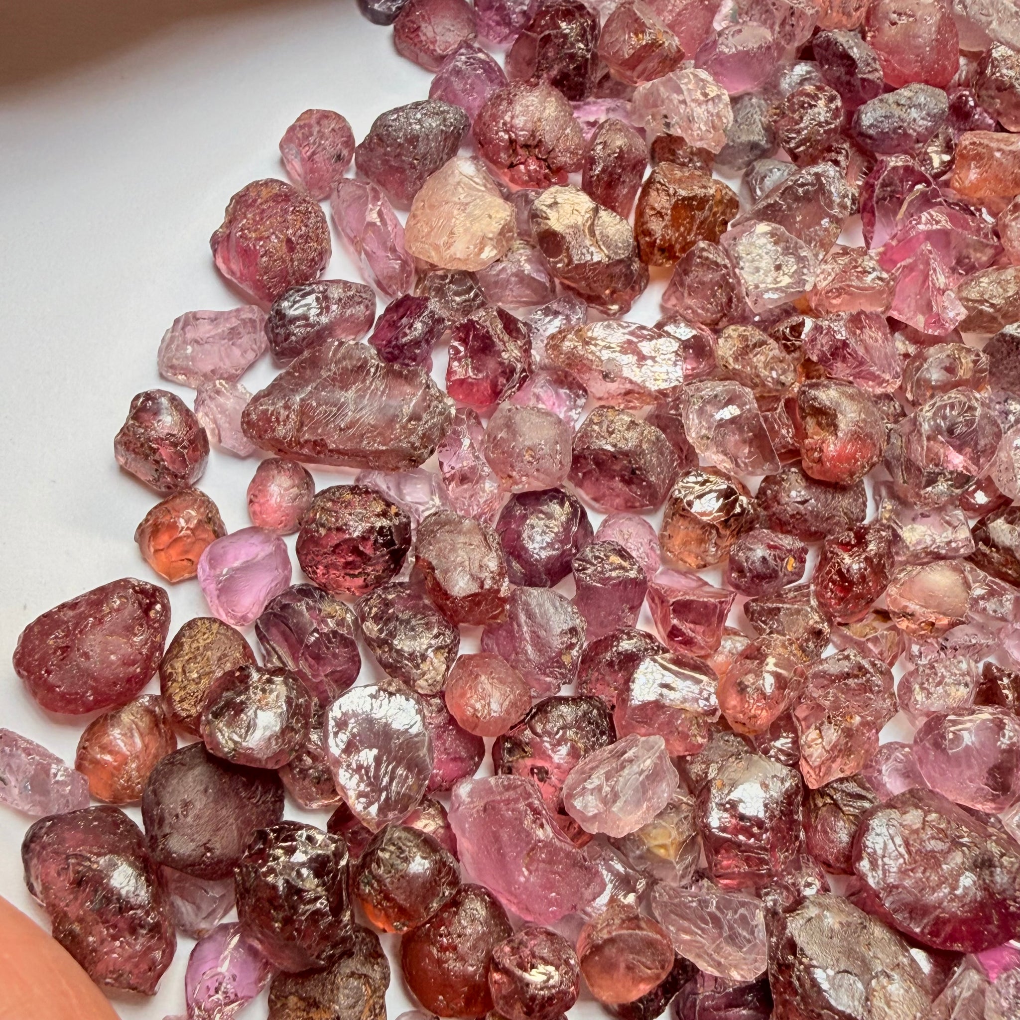 Mixed Garnet Lot some are Dragon Garnets too, 112.60gm / 563.00ct, Lindi, Tanzania, Untreated Unheated, all have inclusions but facetable with inclusions