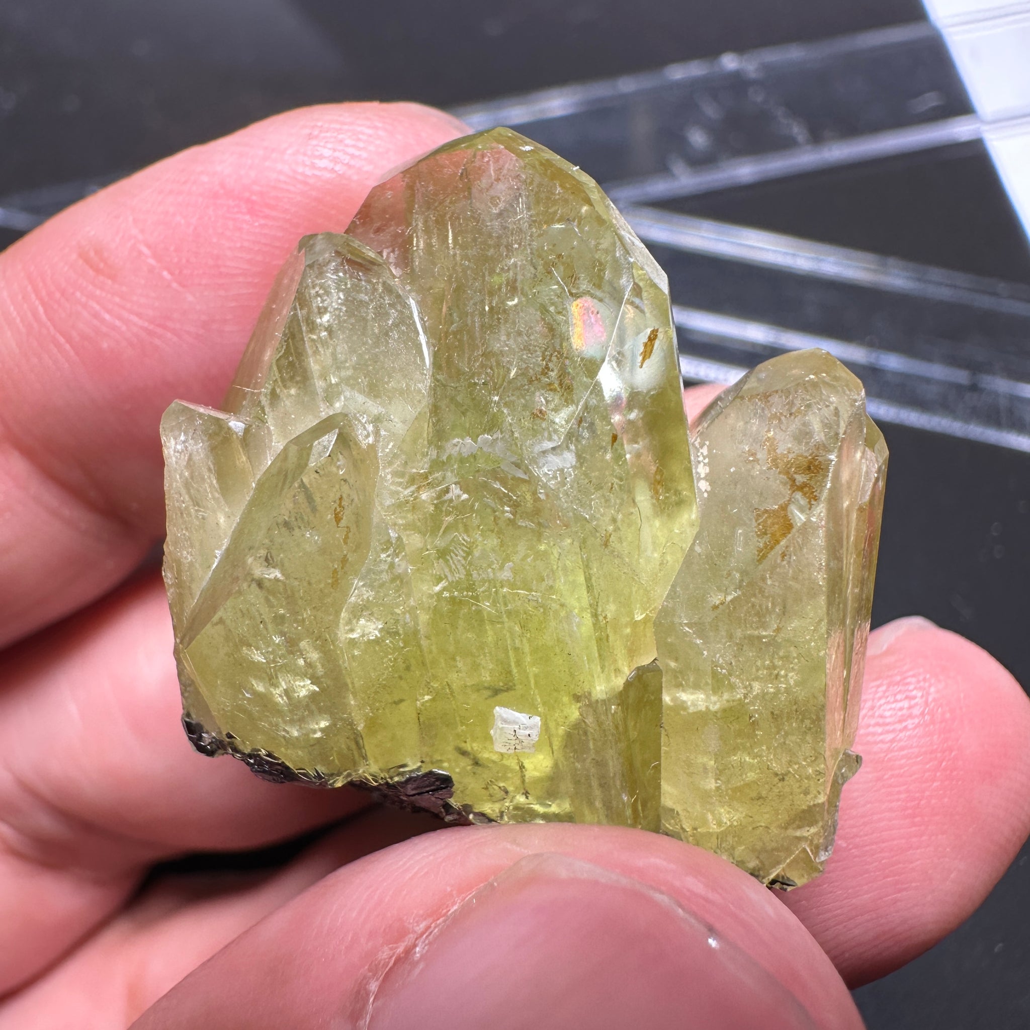 Diopside Crystal, 102.06ct, Merelani, Tanzania, Untreated Unheated