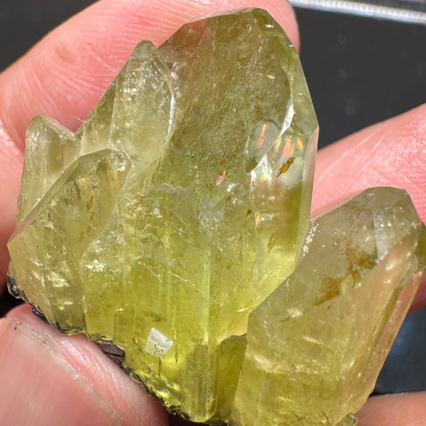 Diopside Crystal, 102.06ct, Merelani, Tanzania, Untreated Unheated