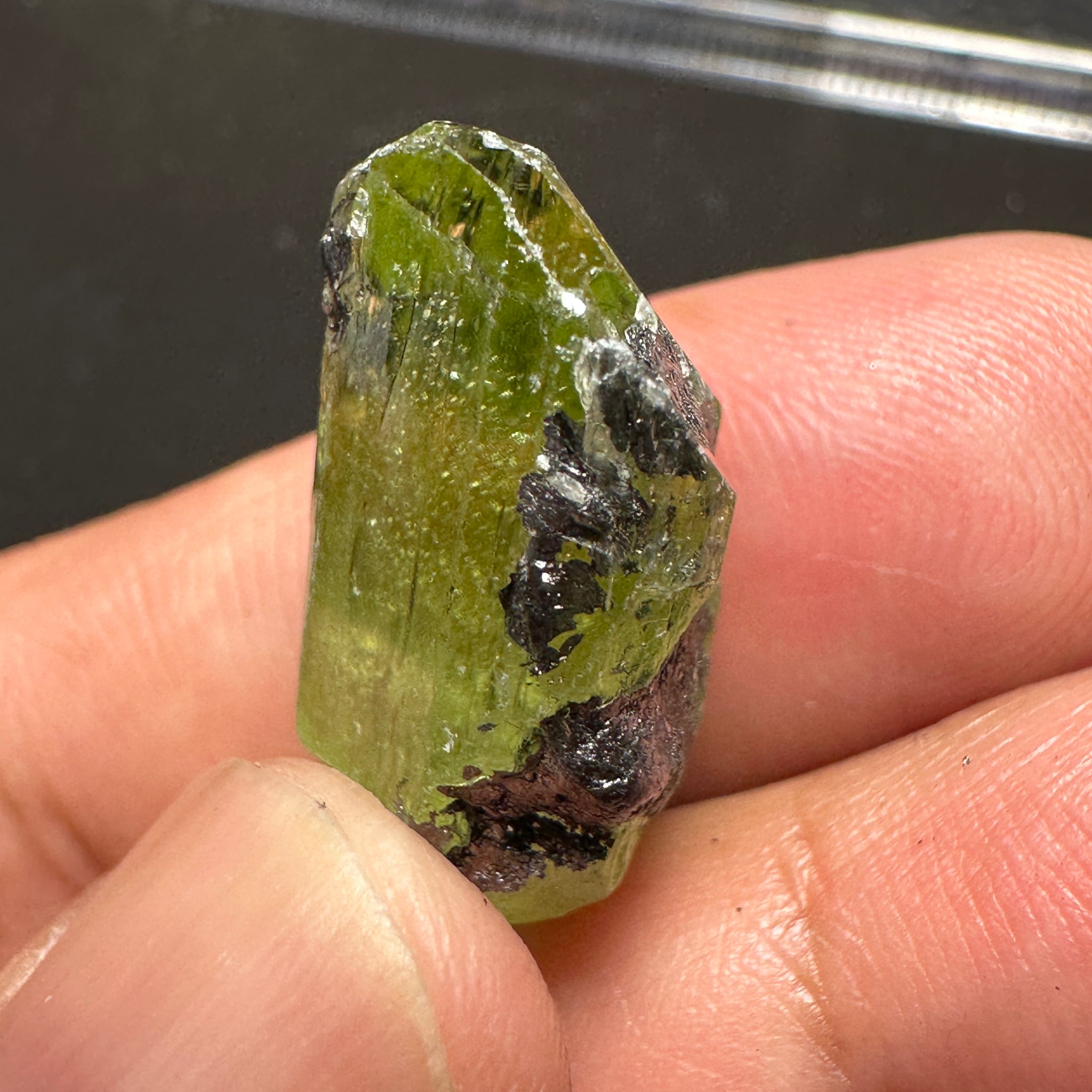 Diopside Crystal, 32.52ct, Merelani, Tanzania, Untreated Unheated