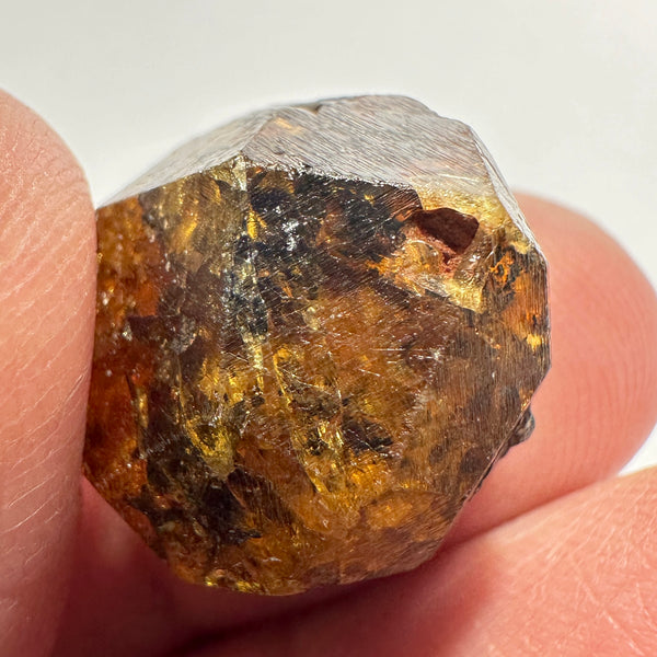 8.0gm Mandarin Spessartite Garnet Crystal, Loliondo in Tanzania, Untreated Unheated