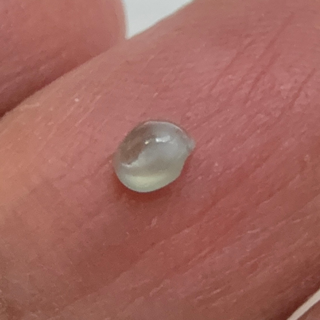 Cats-Eye Alexandrite, slightly chipped at the bottom, see pictures, 0.26ct, Manyara, Tanzania, Untreated Unheated