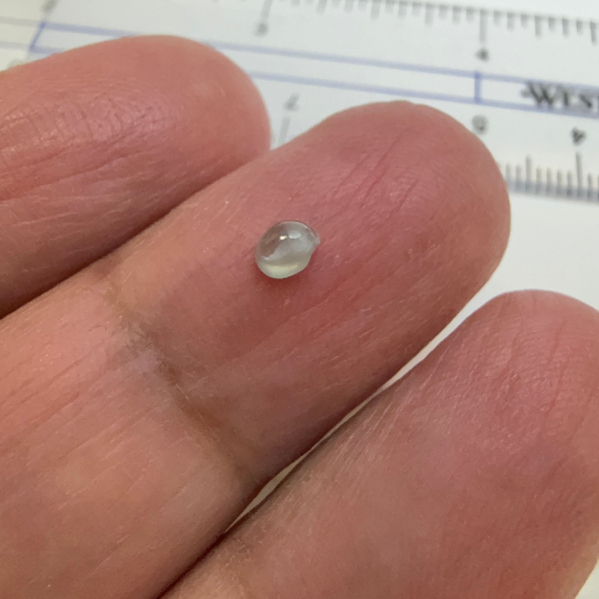 Cats-Eye Alexandrite, slightly chipped at the bottom, see pictures, 0.26ct, Manyara, Tanzania, Untreated Unheated