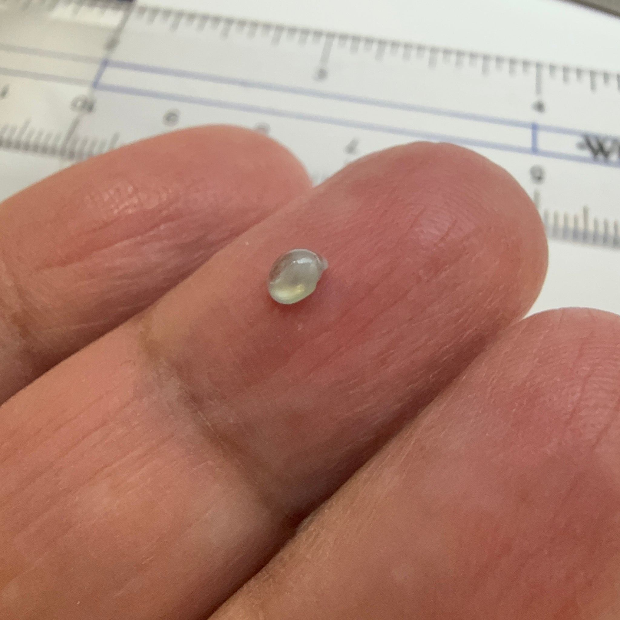 Cats-Eye Alexandrite, slightly chipped at the bottom, see pictures, 0.26ct, Manyara, Tanzania, Untreated Unheated