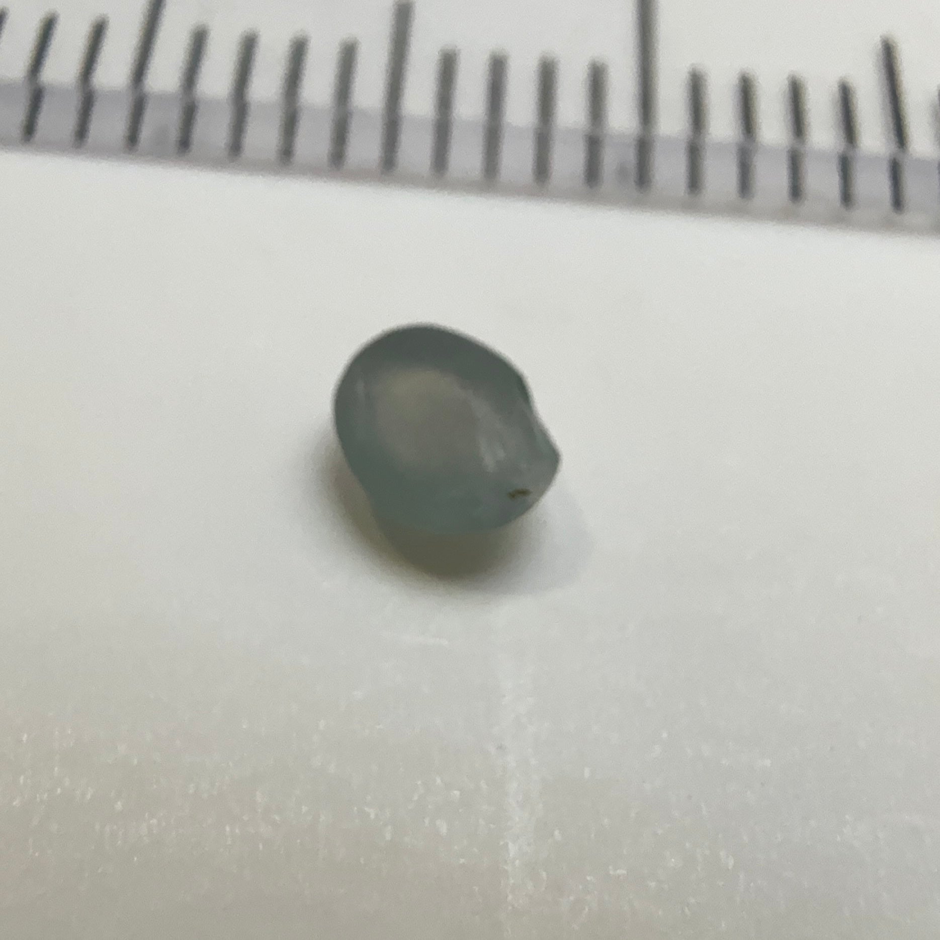 Cats-Eye Alexandrite, slightly chipped at the bottom, see pictures, 0.26ct, Manyara, Tanzania, Untreated Unheated