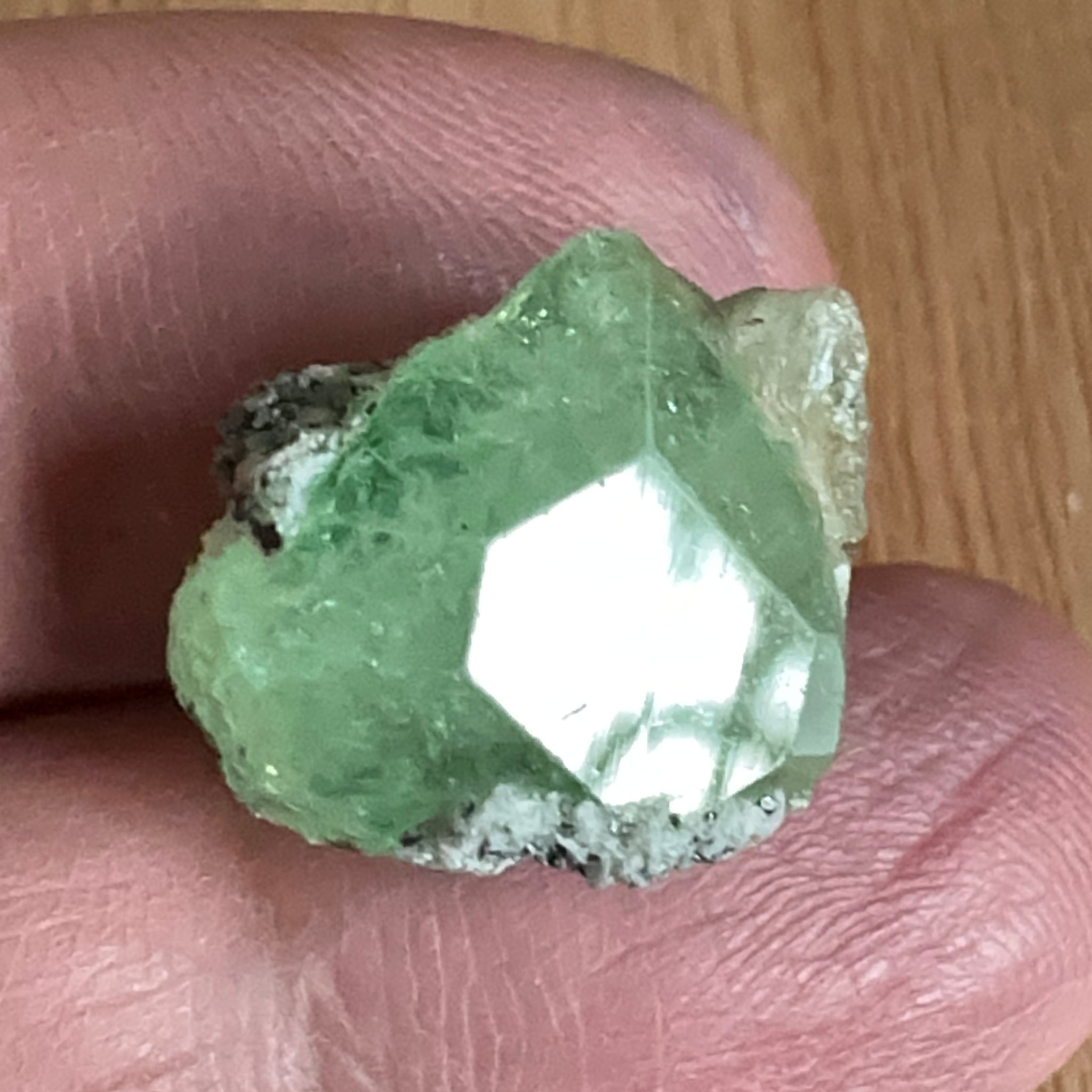 Diopside crystal on matrix, 16.03ct, Merelani, Tanzania