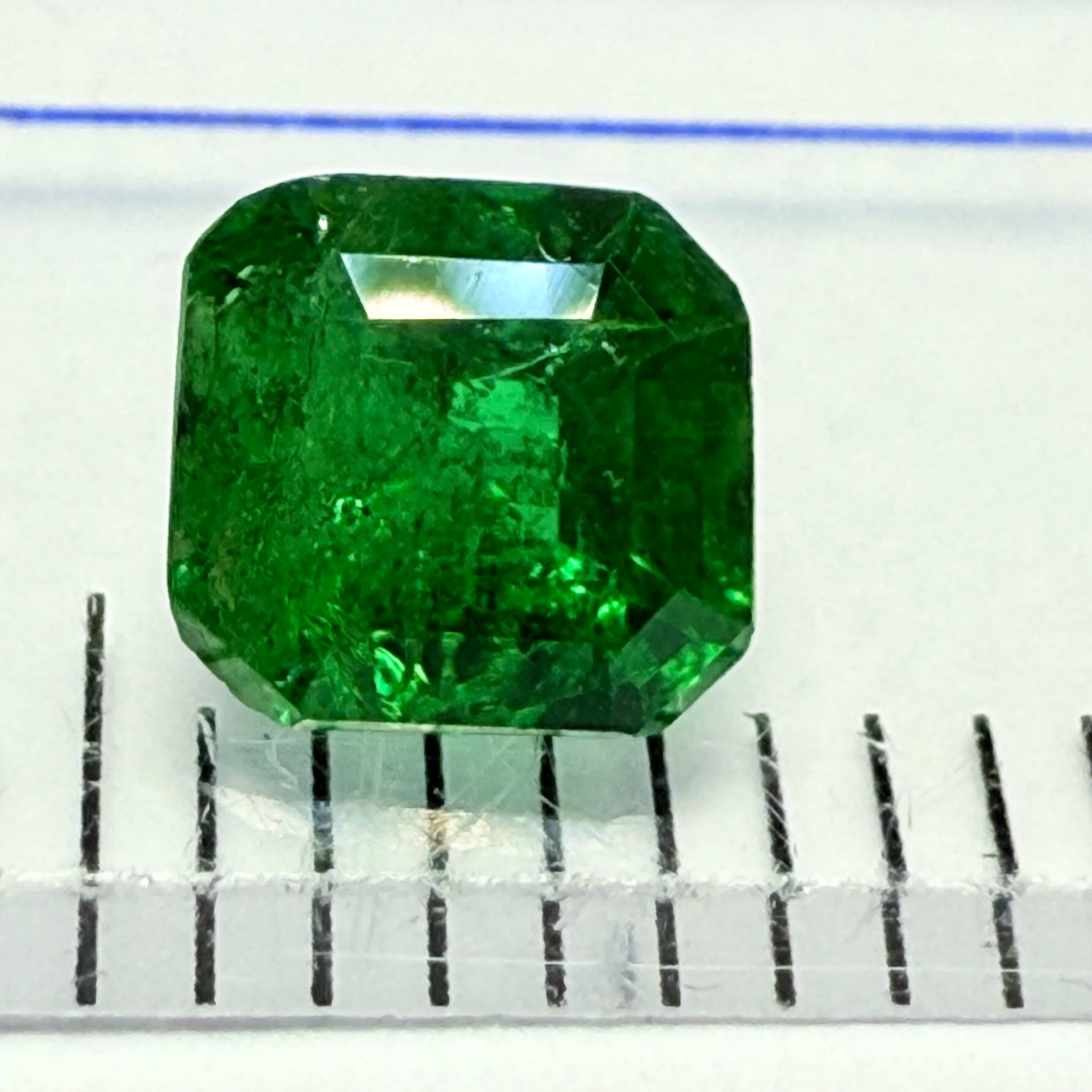 Chrome Tourmaline, 0.56ct, Landanai, Tanzania, Untreated Unheated, native cut, heavily included