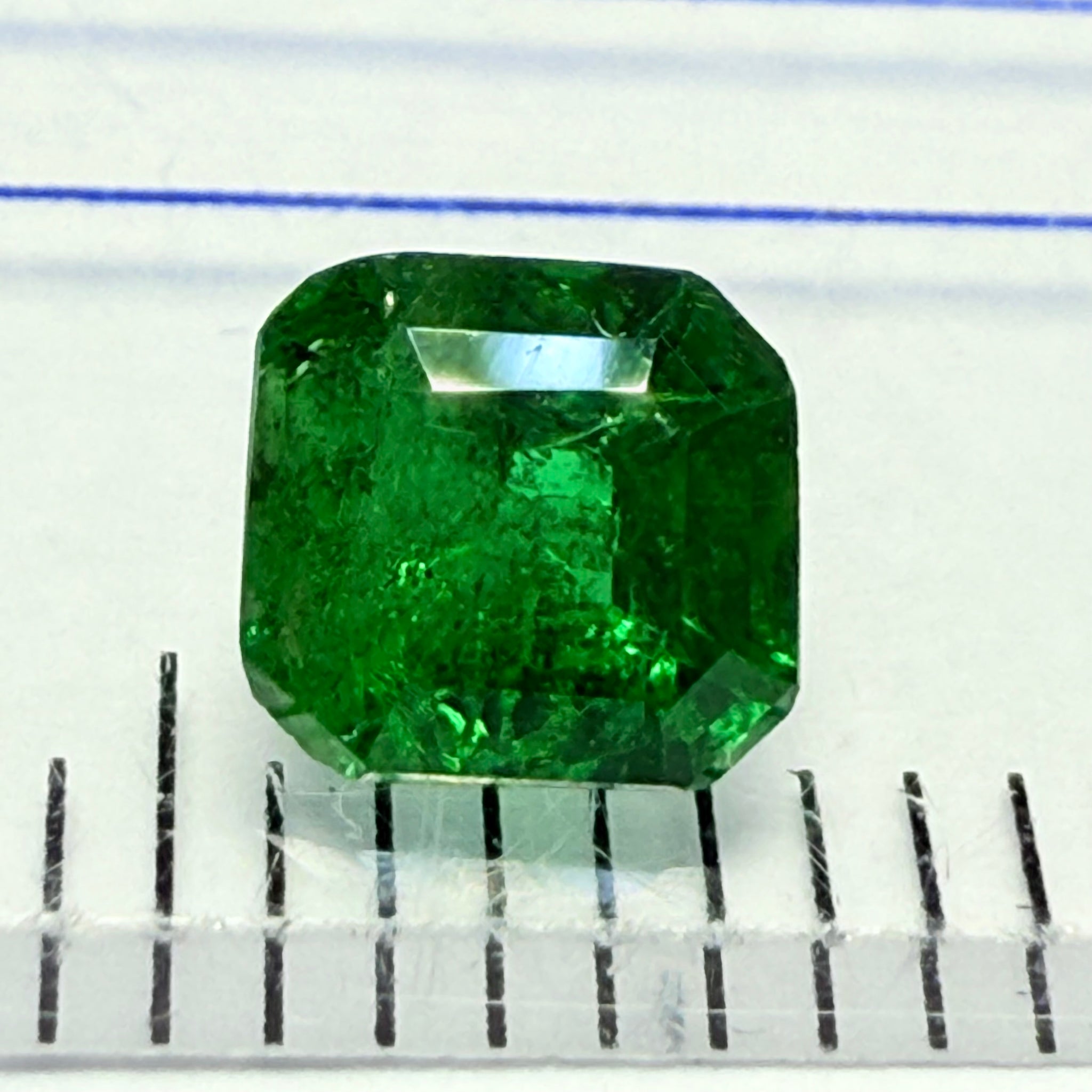 Chrome Tourmaline, 0.56ct, Landanai, Tanzania, Untreated Unheated, native cut, heavily included