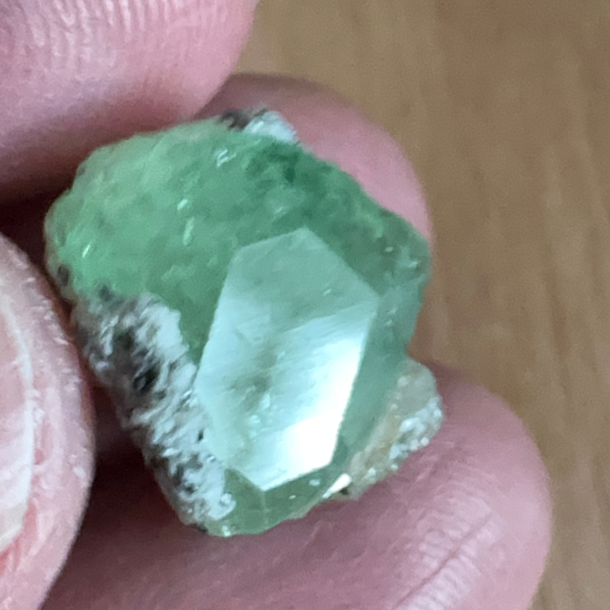 Diopside crystal on matrix, 16.03ct, Merelani, Tanzania