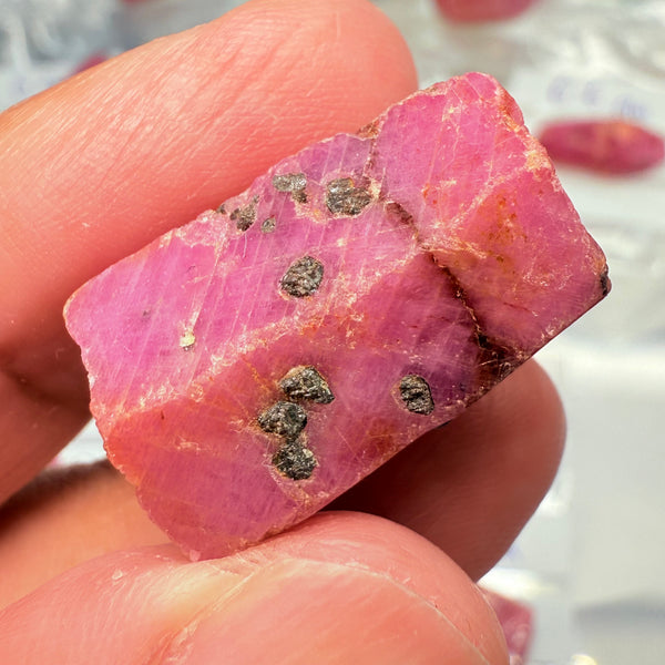 Sapphire Crystal, 9.50gm, Dodoma, Tanzania, Untreated Unheated