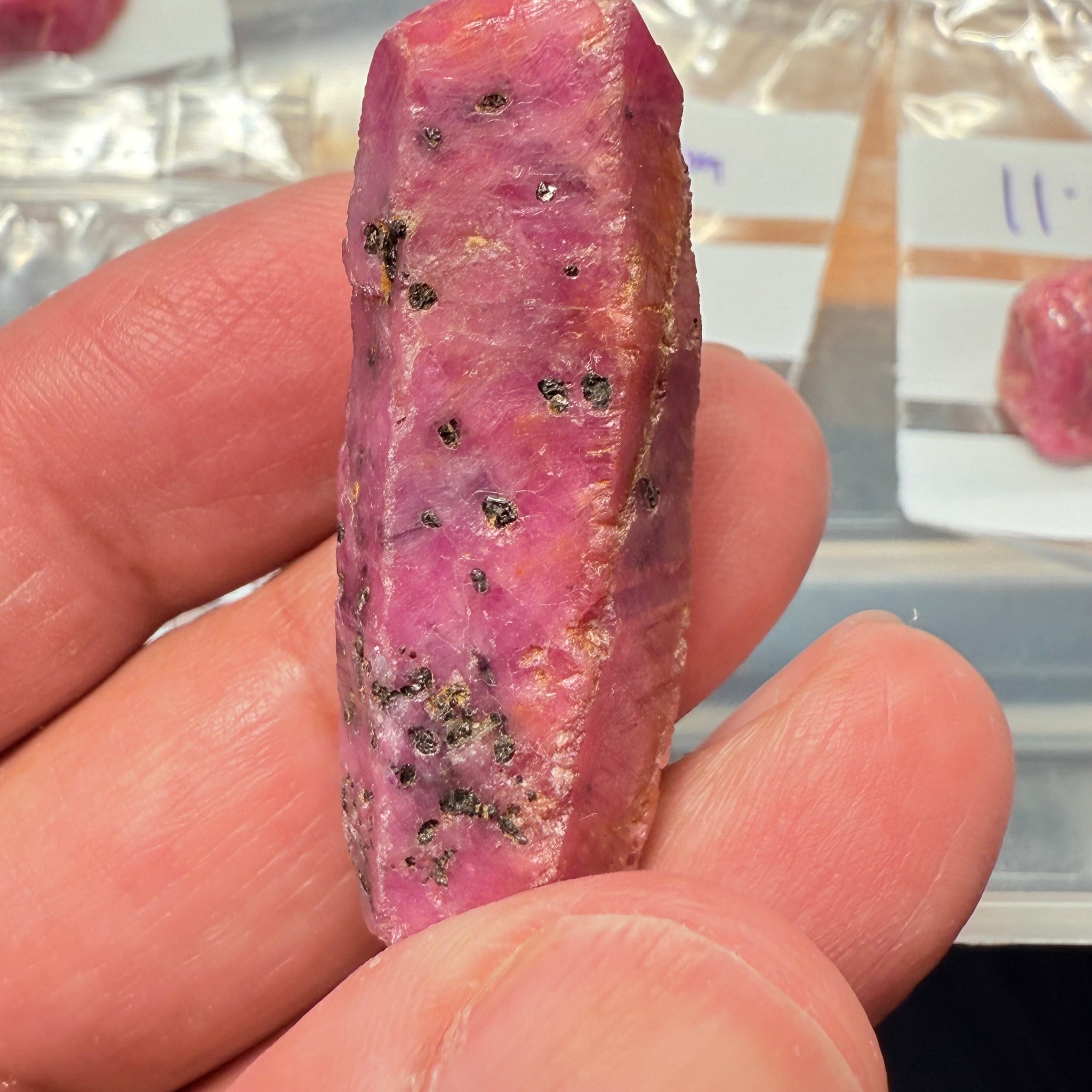 Sapphire Crystal, 15.90gm, Dodoma, Tanzania, Untreated Unheated