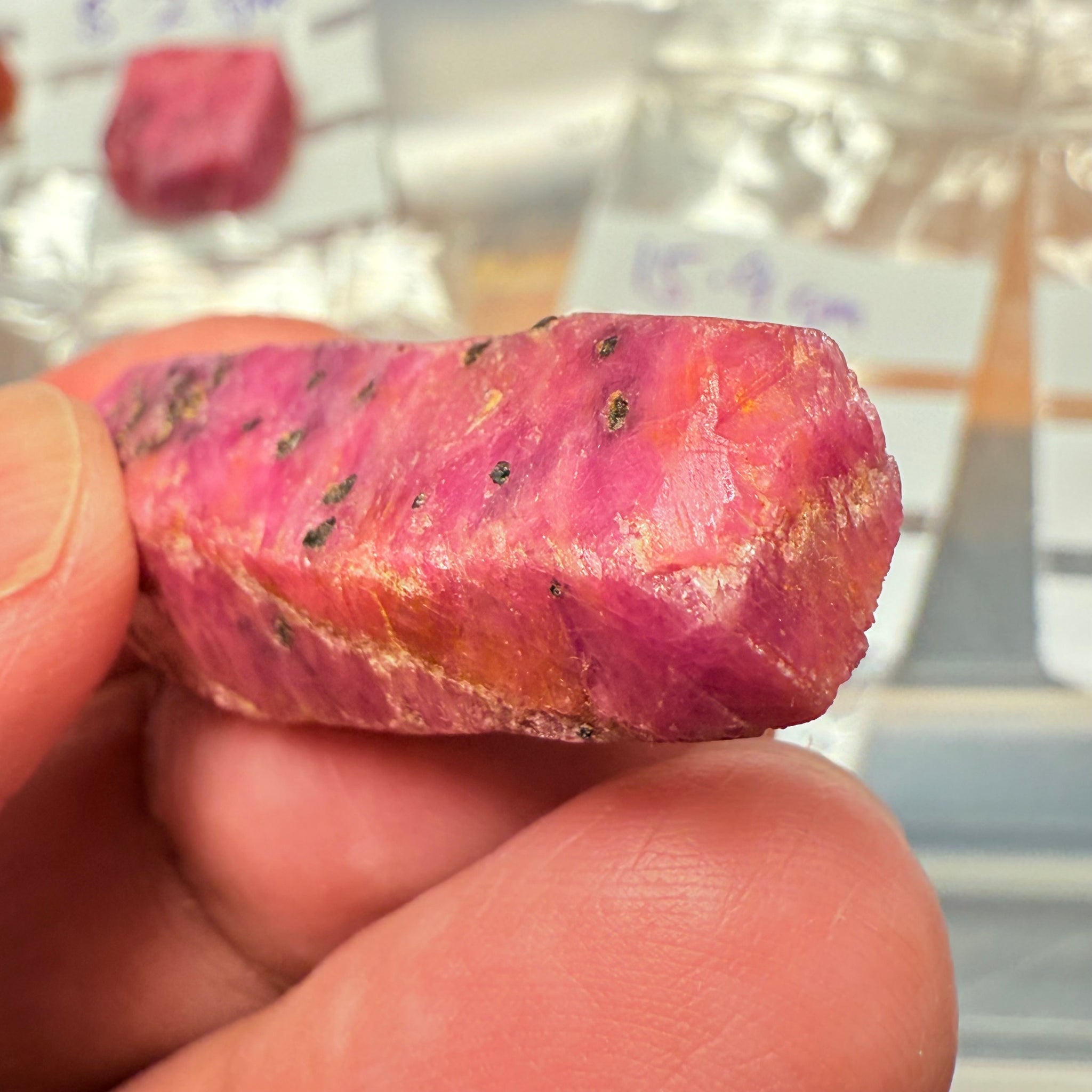 Sapphire Crystal, 15.90gm, Dodoma, Tanzania, Untreated Unheated