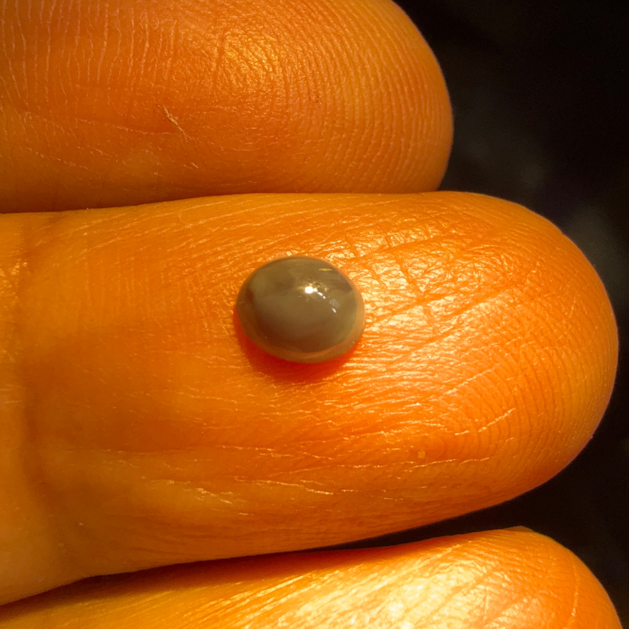 Alexandrite Cabochon, 0.56ct, Manyara, Tanzania, Untreated Unheated