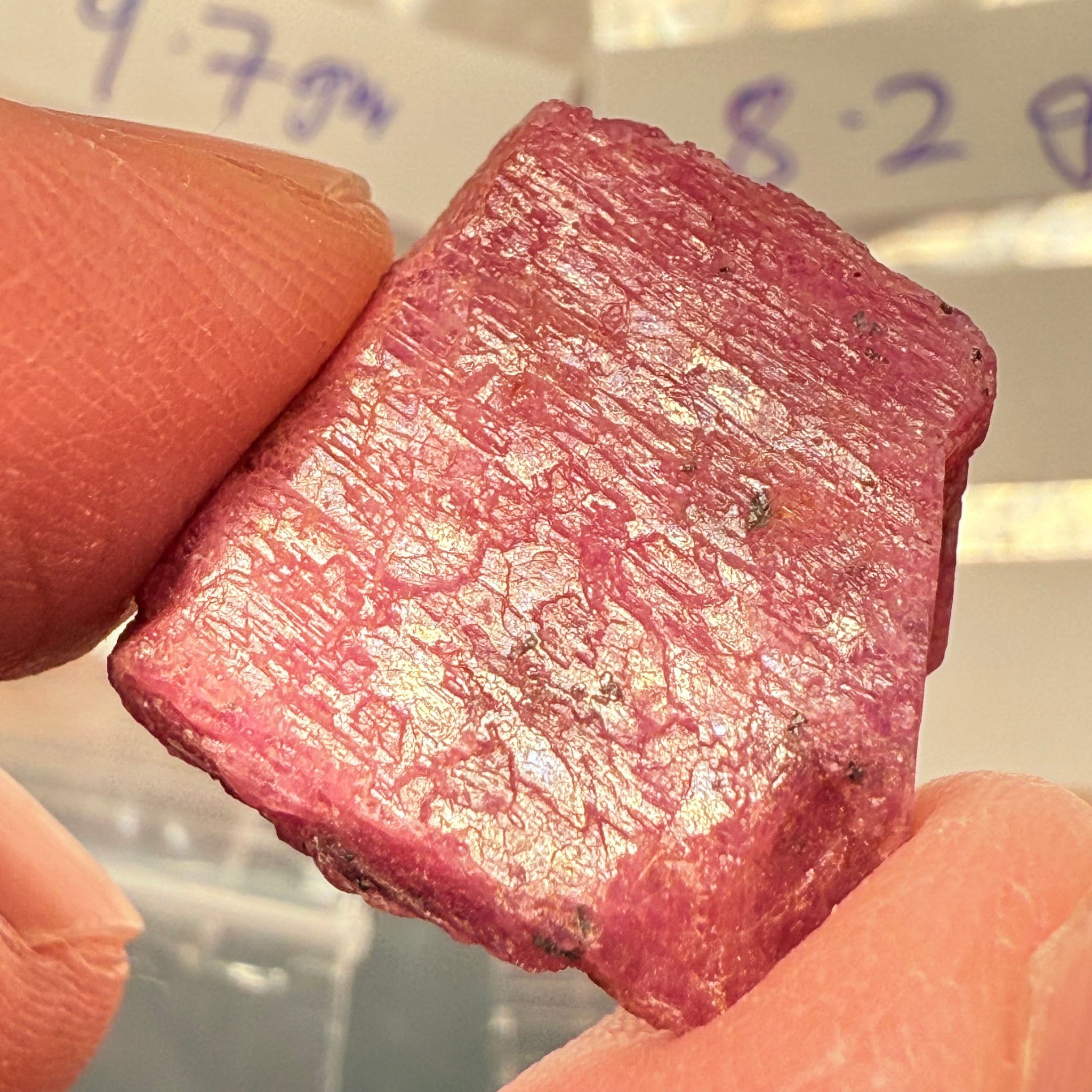 Sapphire Crystal, 8.20gm, Dodoma, Tanzania, Untreated Unheated