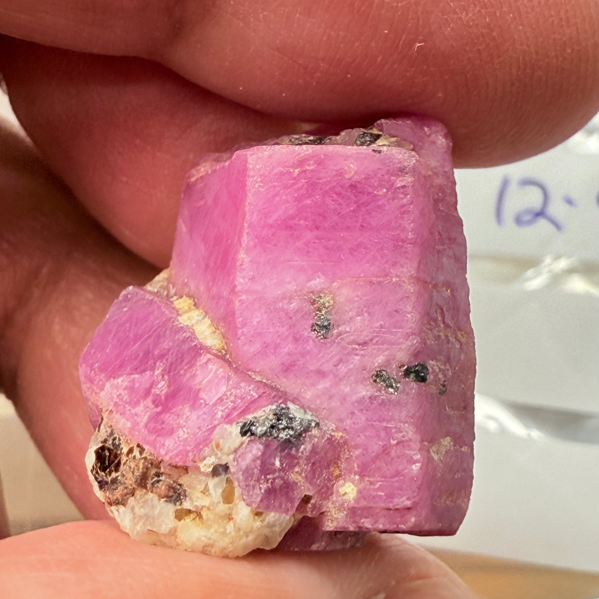 Sapphire Crystal, 12.90gm, Dodoma, Tanzania, Untreated Unheated