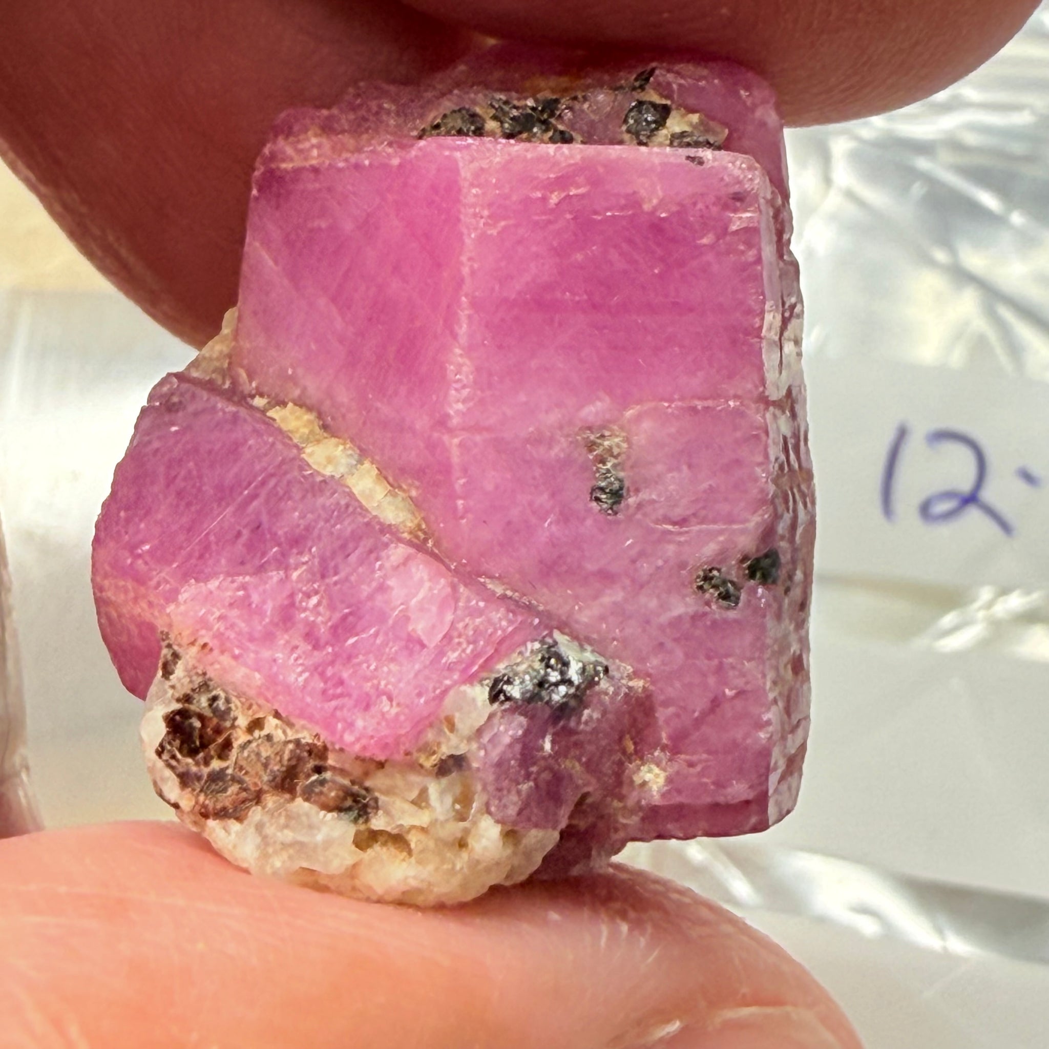 Sapphire Crystal, 12.90gm, Dodoma, Tanzania, Untreated Unheated